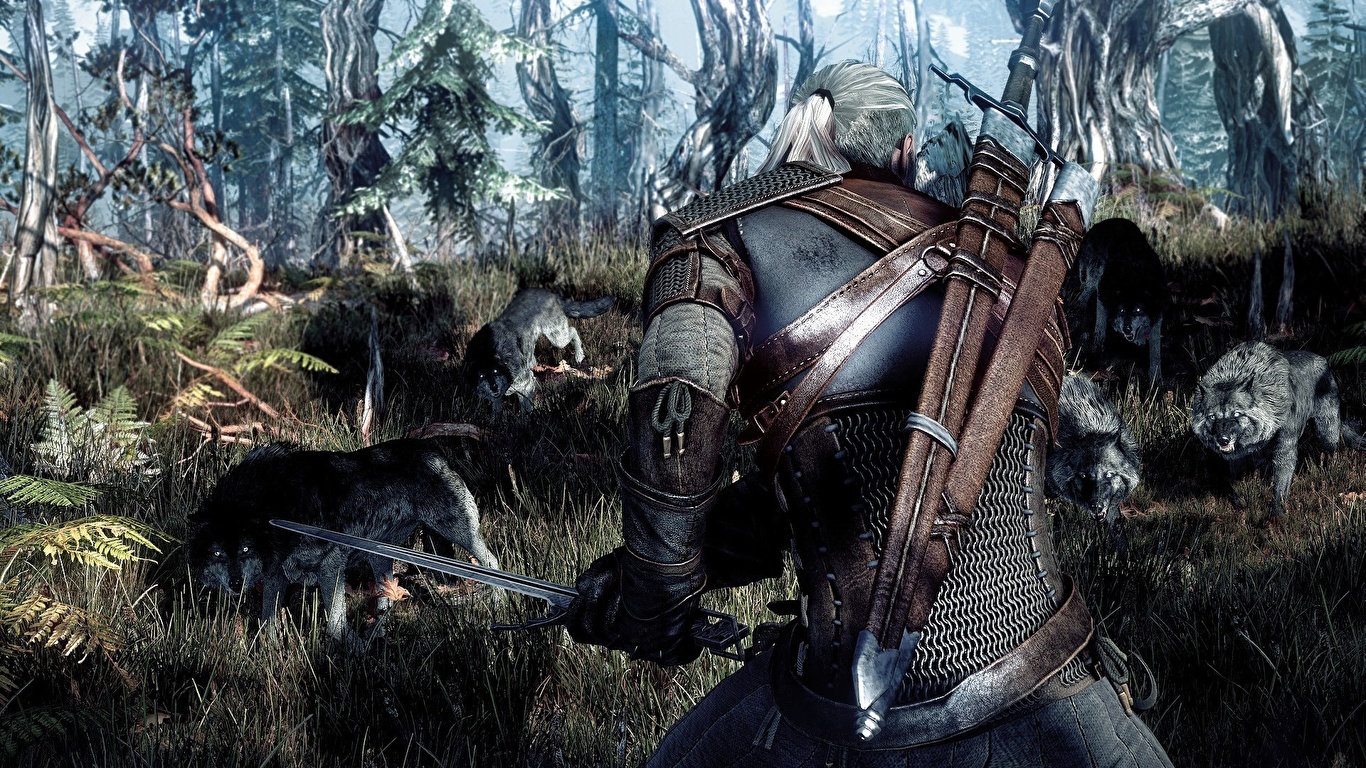 Desktop Wallpapers The Witcher 3: Wild Hunt wolf vdeo game 1366x768