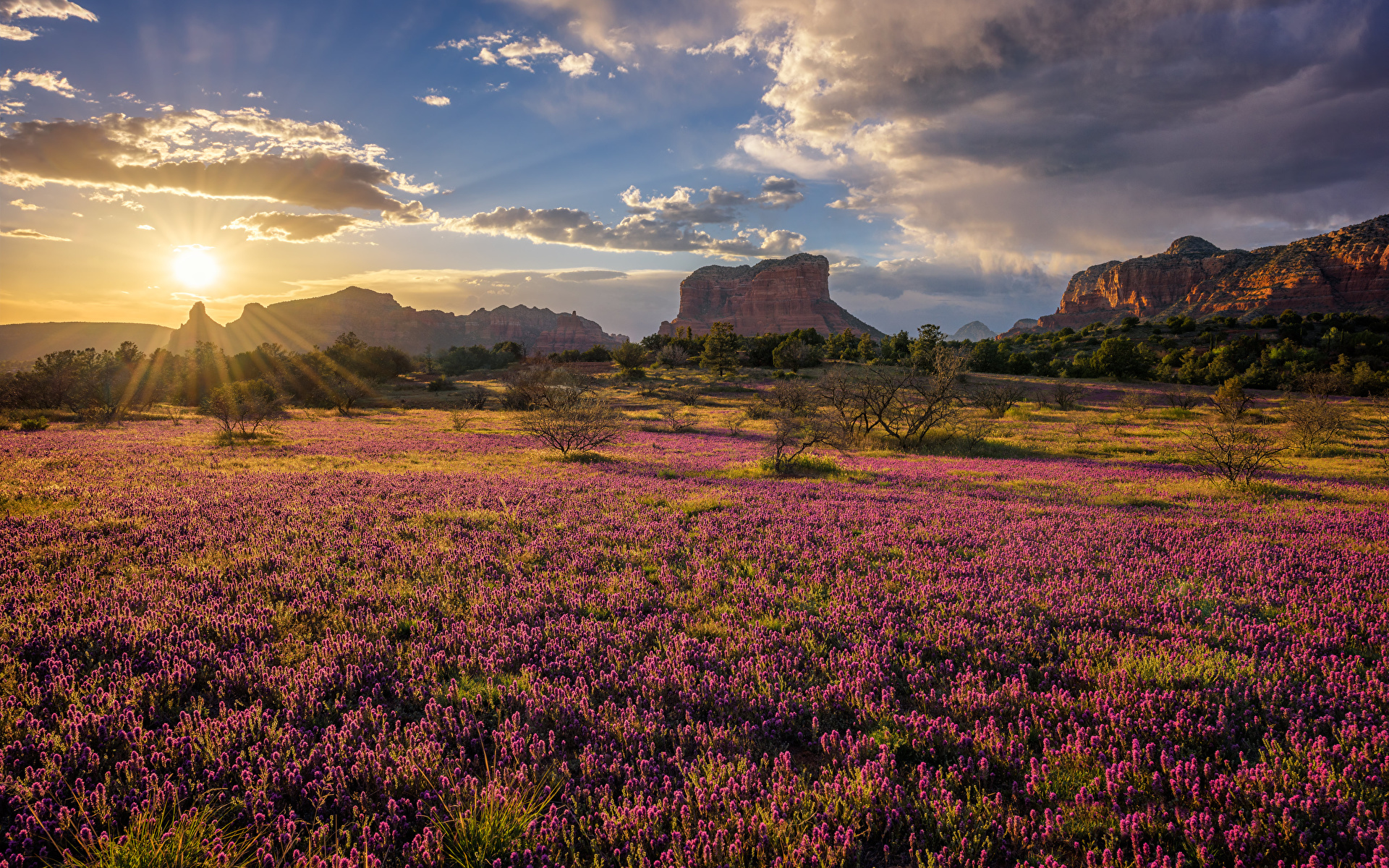 壁紙 19x10 アメリカ合衆国 朝 山 草原 空 Sedona Arizona 太陽 自然 ダウンロード 写真