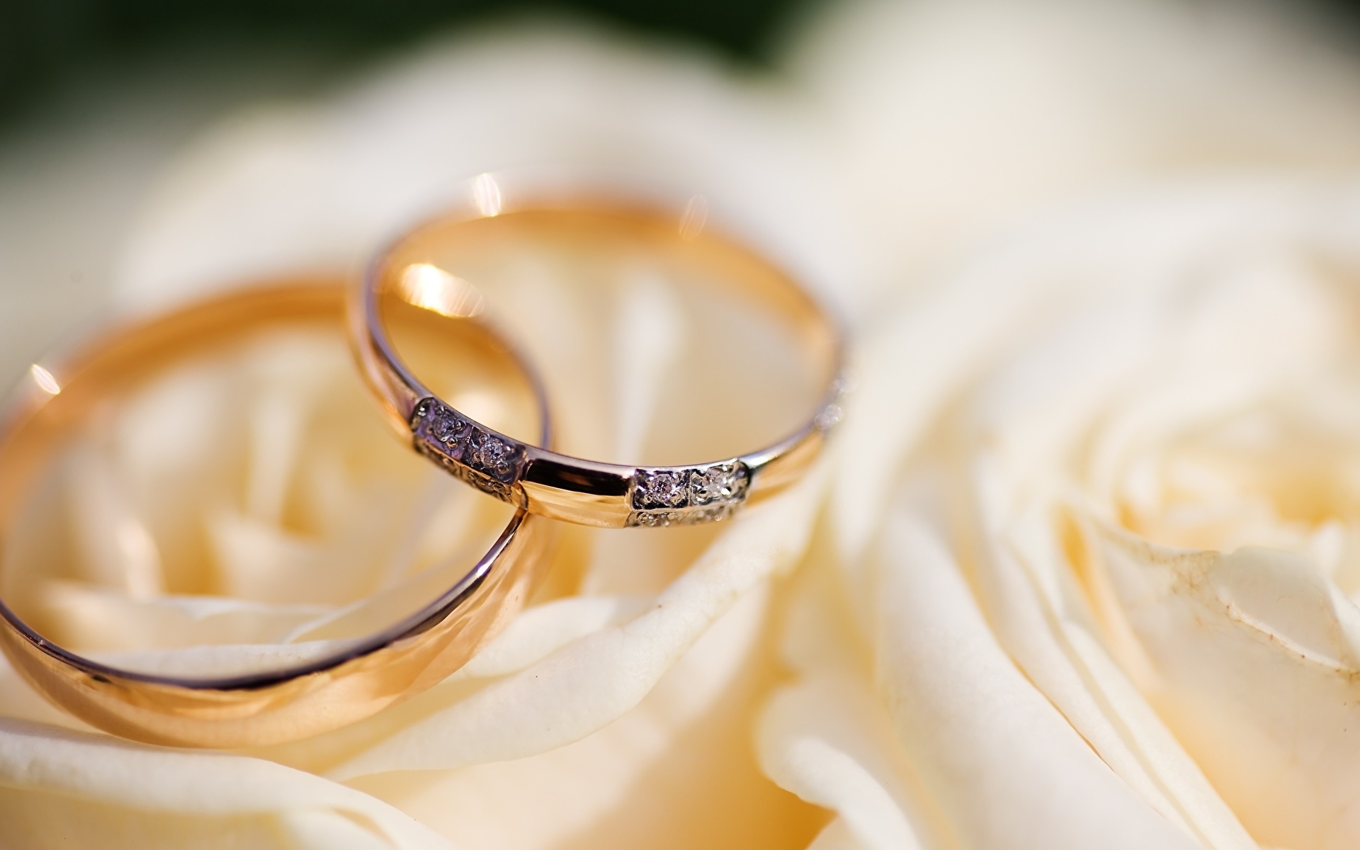 Foto Bröllopet smycken ring Närbild Smycken 1920x1200 Bröllop Fingerring