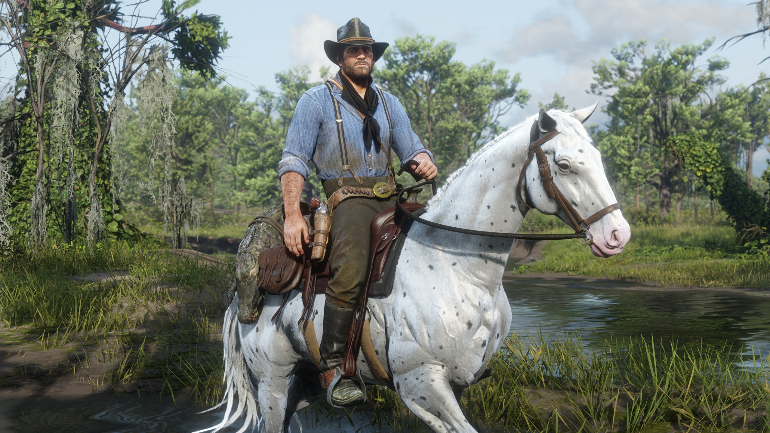 壁紙 2560x1440 レッド デッド リデンプションii 馬 Arthur Morgan 白 帽子 ゲーム ダウンロード 写真