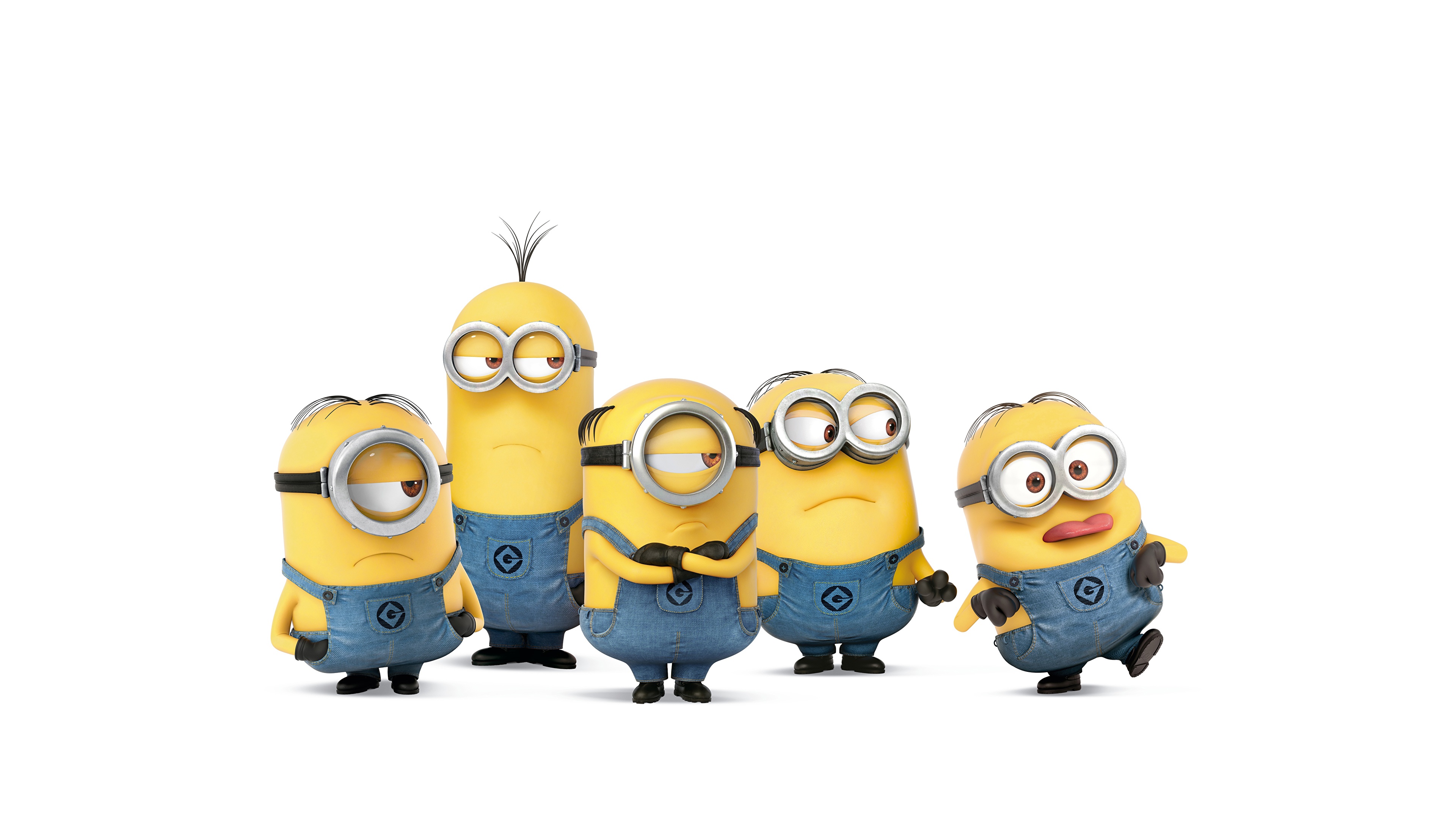 Fondos de Pantalla 3840x2160 Minions El fondo blanco Animación descargar  imagenes