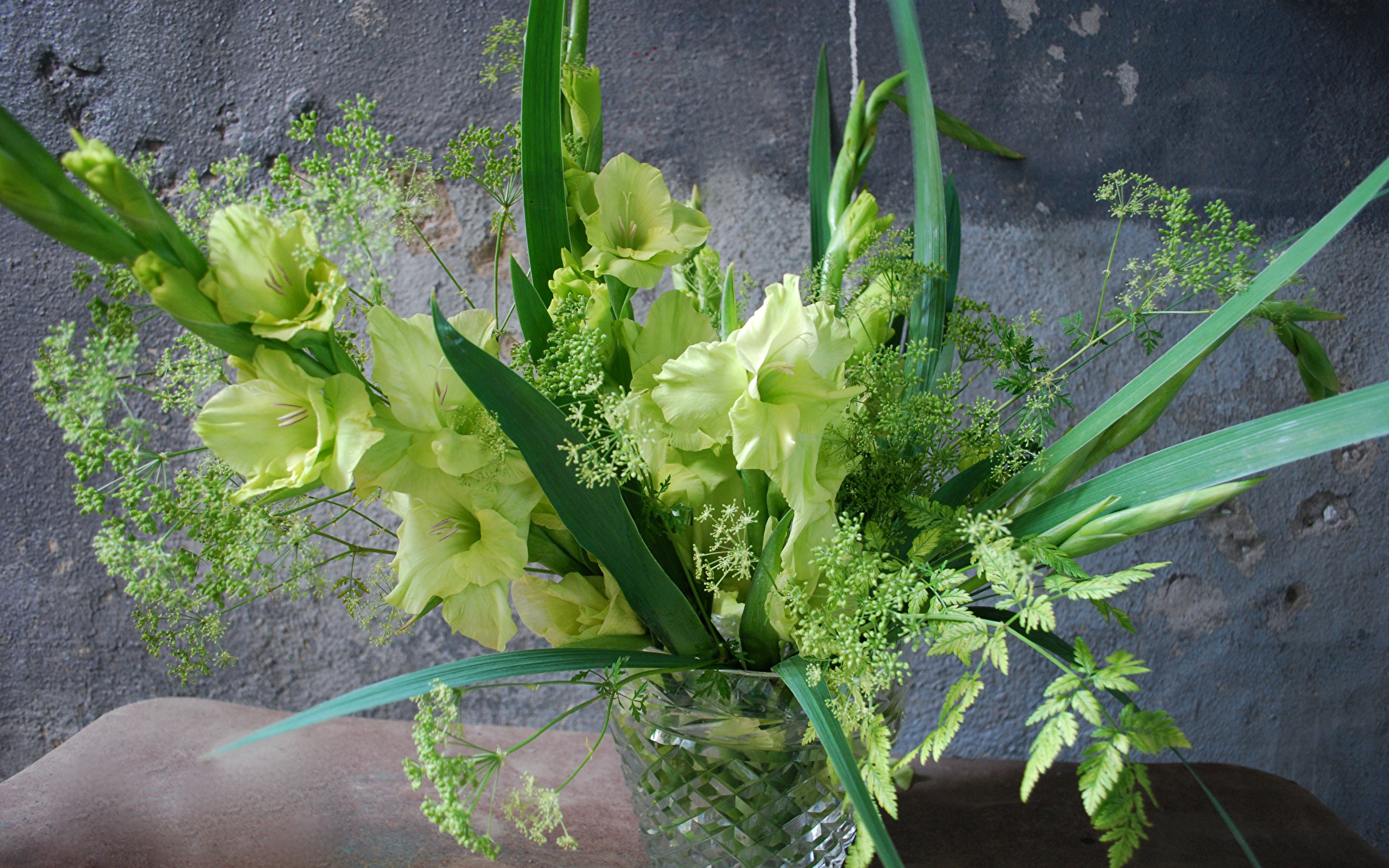 Papeis de parede 1920x1200 Gladioluses Vaso Verde-amarelo Flores baixar ...