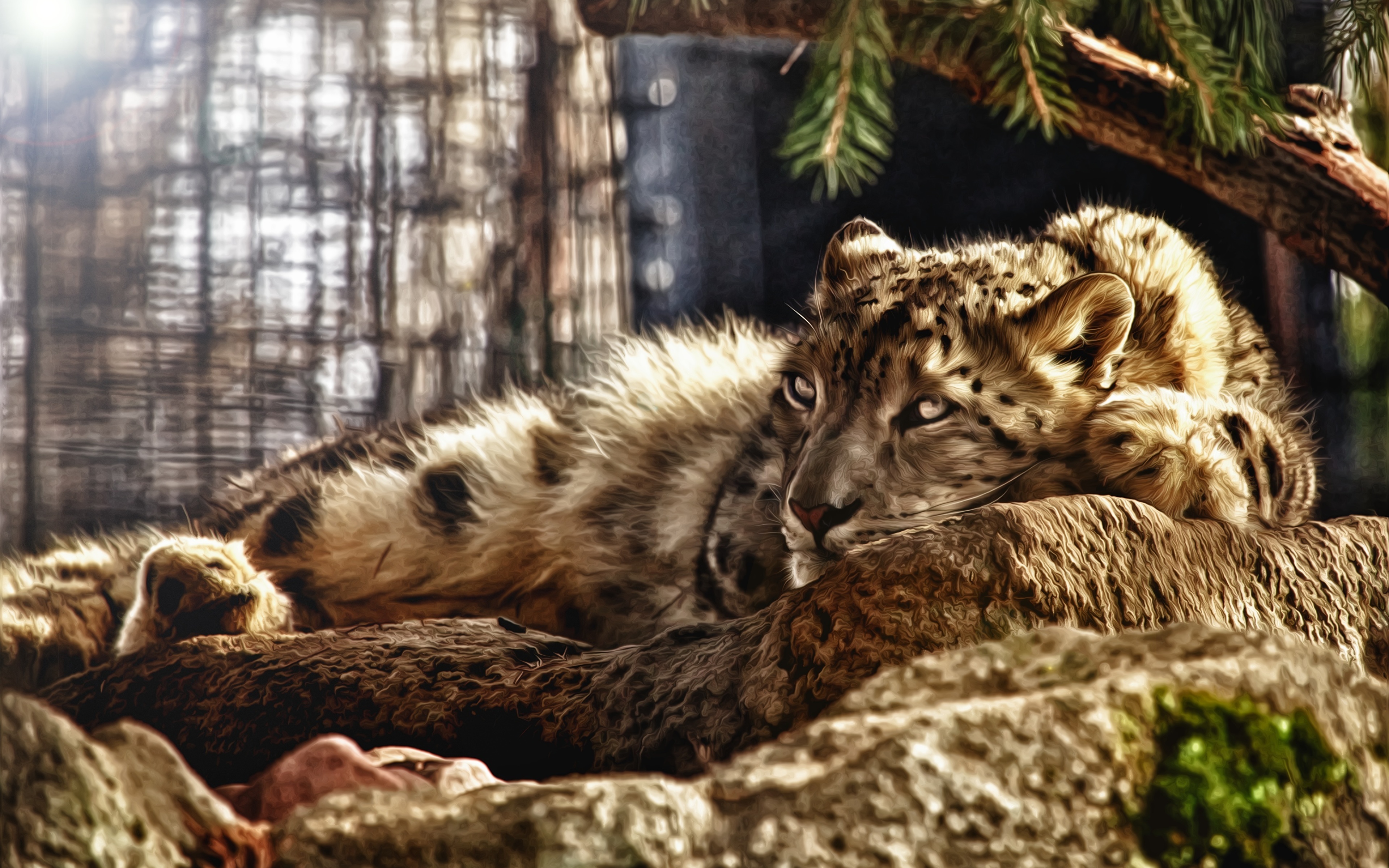 3 д звери. Леопард снежный Барс Ягуар. Красивые животные. Картинки на рабочий стол. Фотообои природа животные.