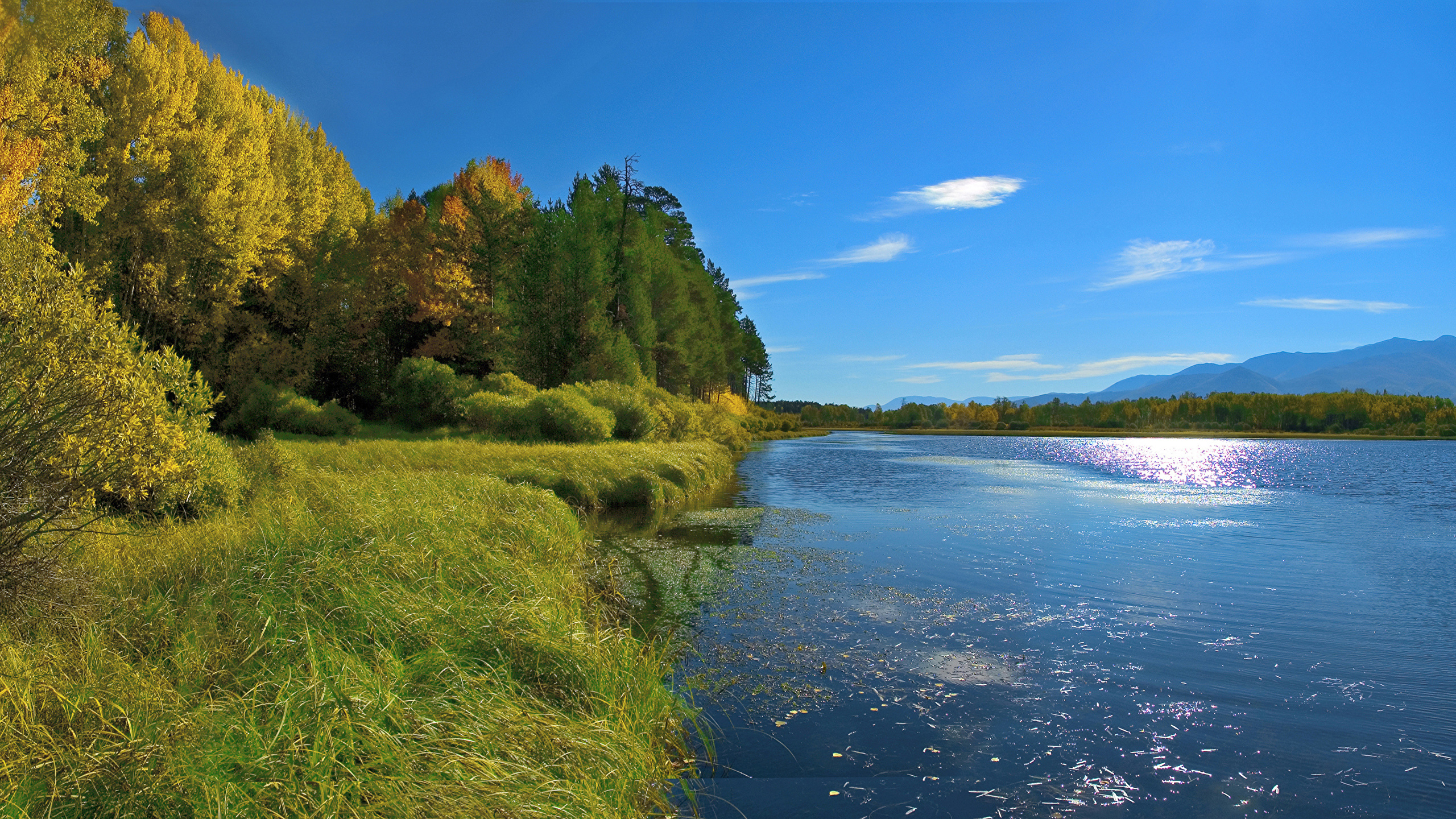 壁紙 2560x1440 ロシア シベリア 川 海岸 秋 草 木 自然 ダウンロード 写真