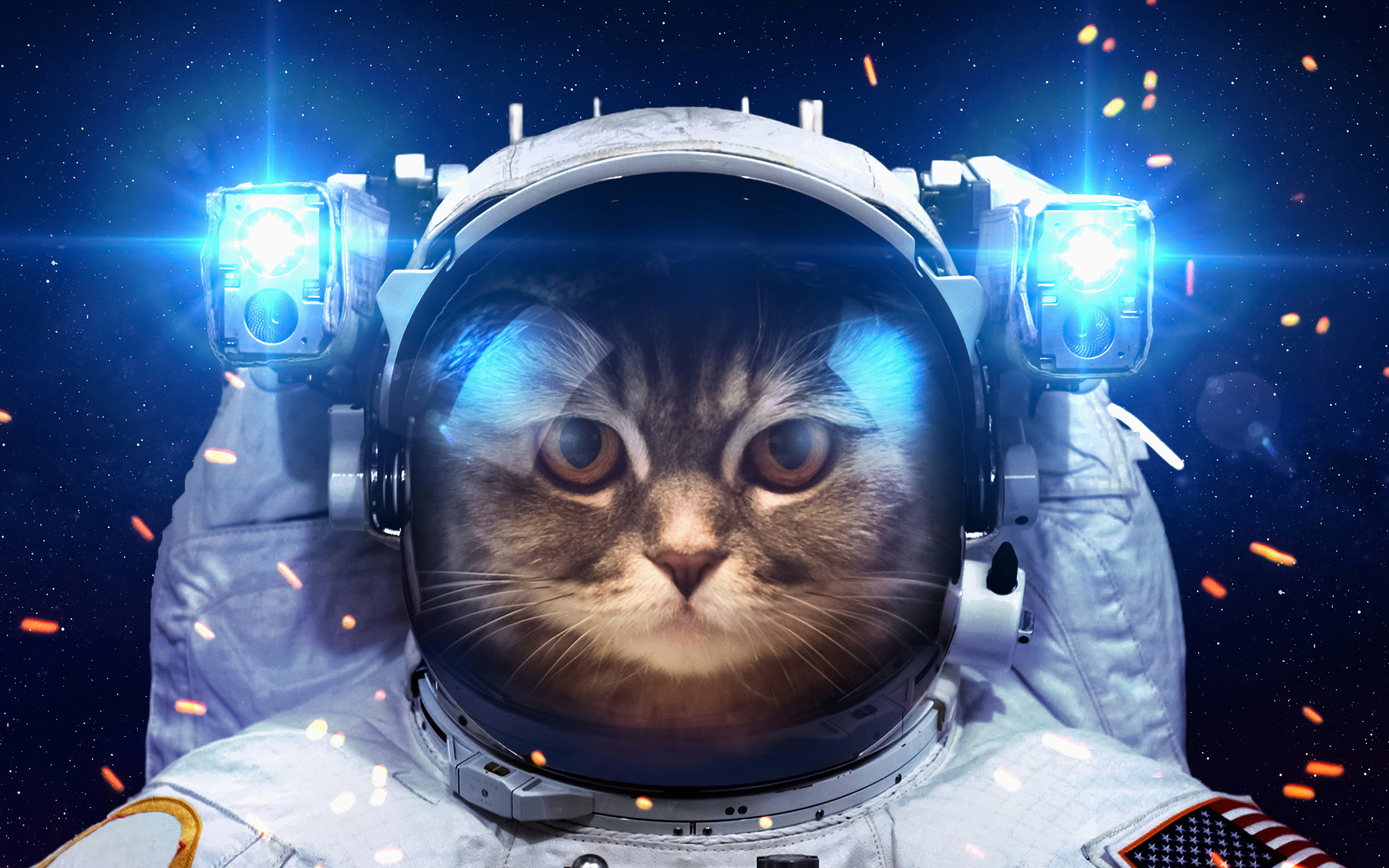 Chat-Stronautes drôle Chat astronaute en combinaison spatiale