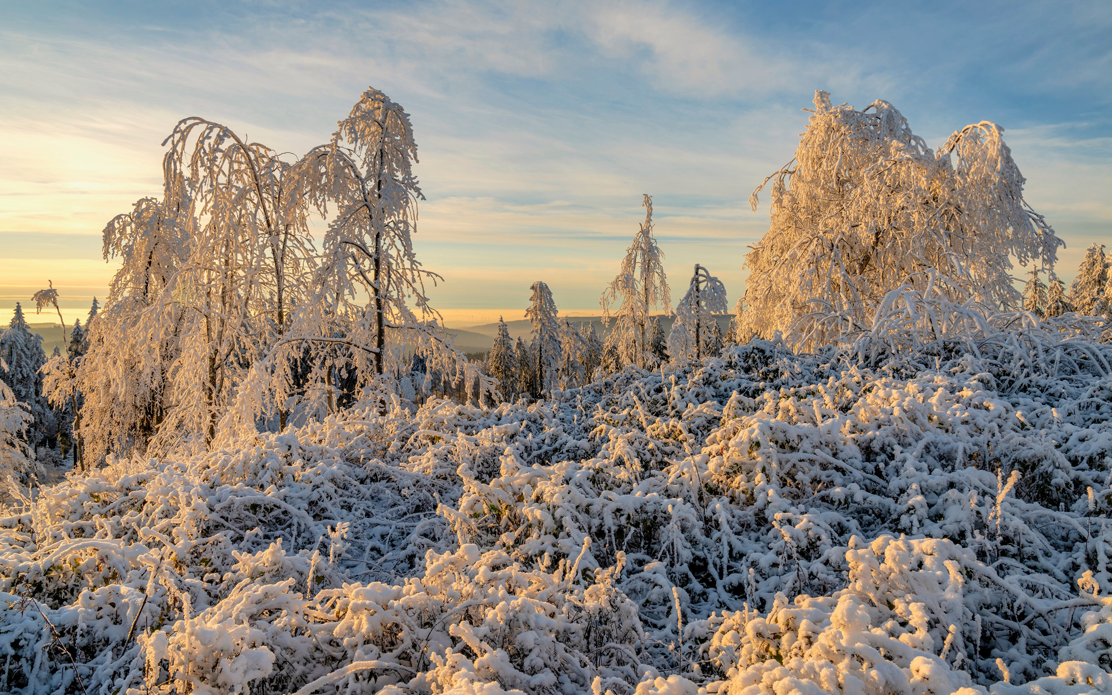 Фотография Германия Rheinland-Pfalz зимние Природа Утро 3840x2400