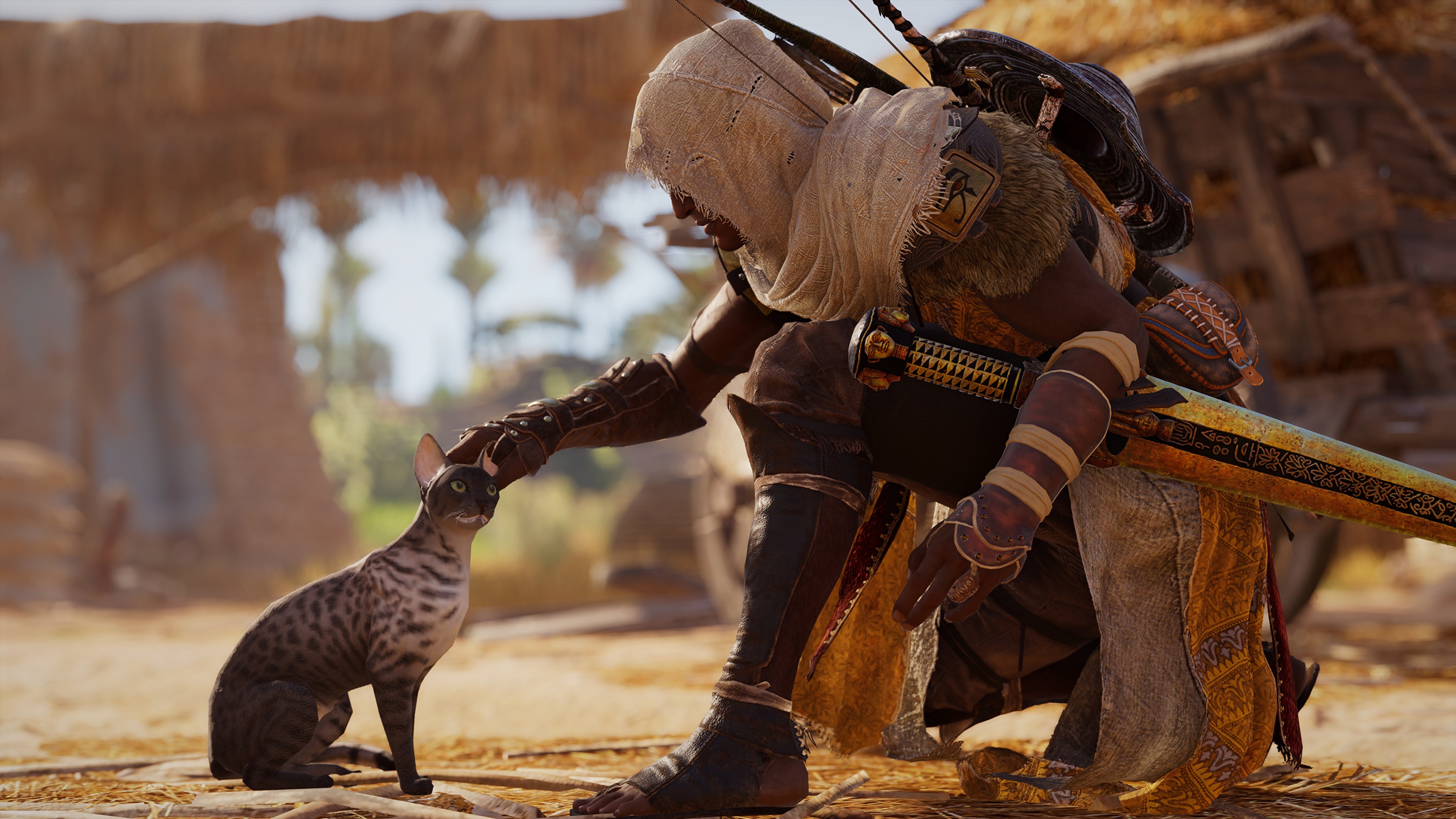 Papeis de parede 3840x2160 Guerreiro Gato Assassin's Creed Origins Capuz  Jogos 3D Gráfica baixar imagens