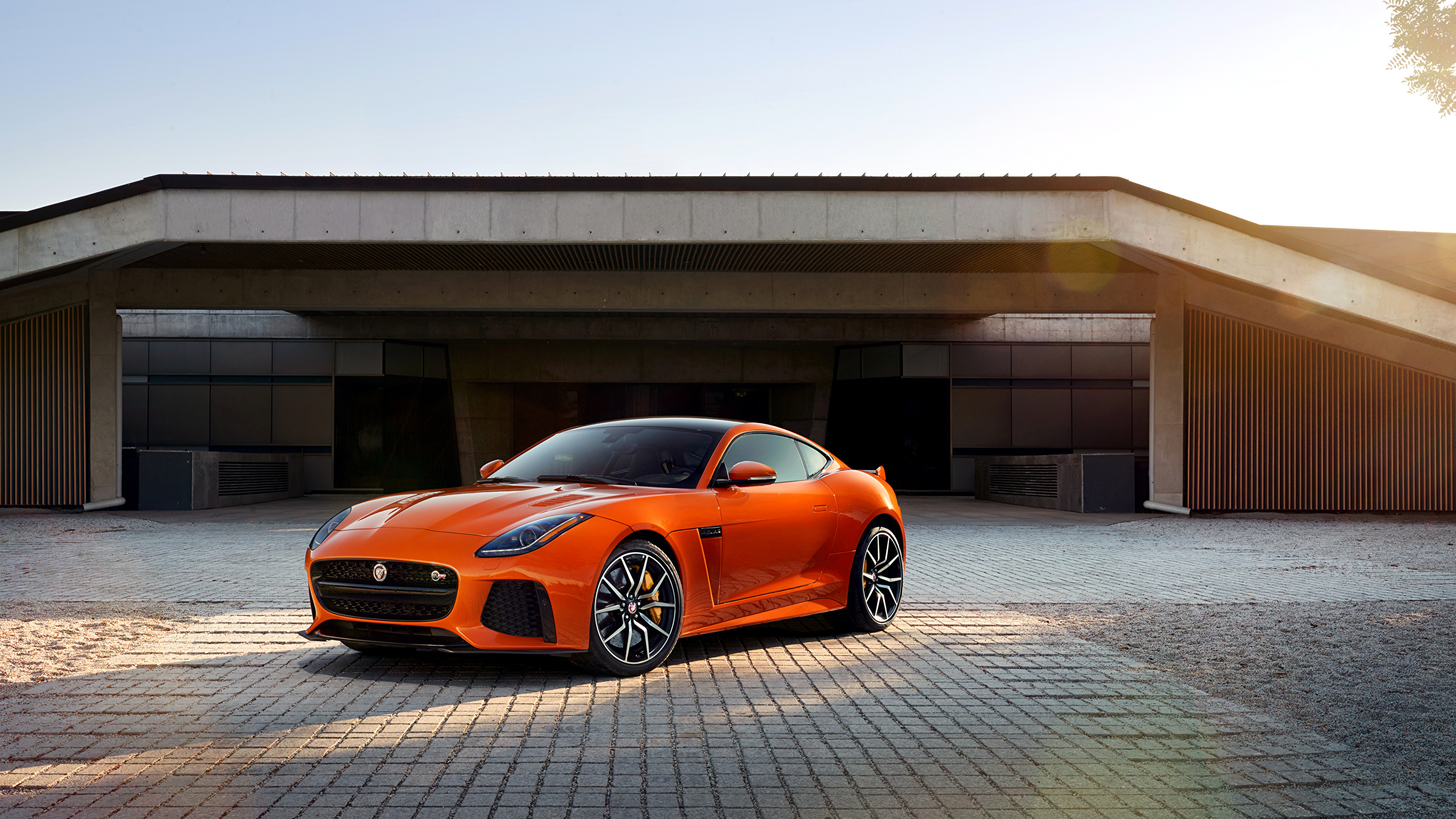 Jaguar f Type черный обои