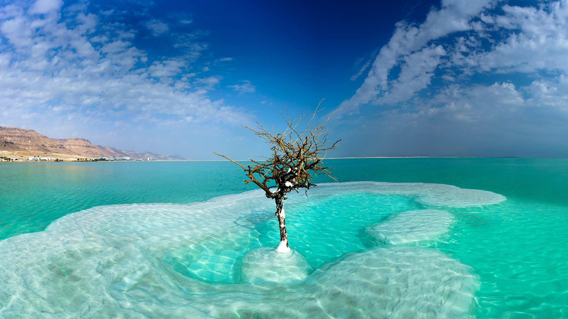 壁紙 19x1080 イスラエル 海 空 Dead Sea Neve Zohar 木 雲 自然 ダウンロード 写真