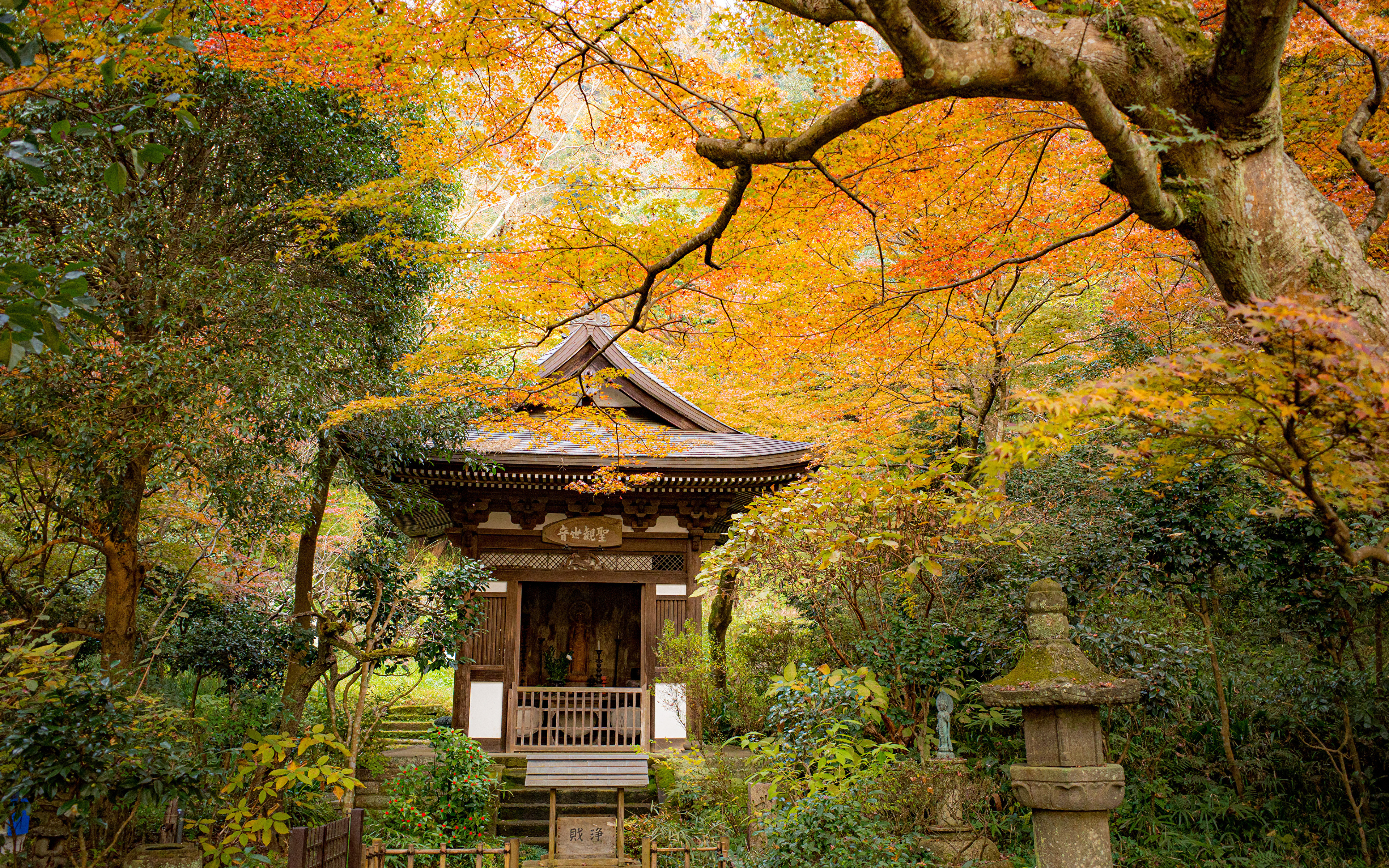 Киото япония. Парк Киото Япония. Киото Япония осень. Киото пагоды осенняя Япония. Деревья в Киото.