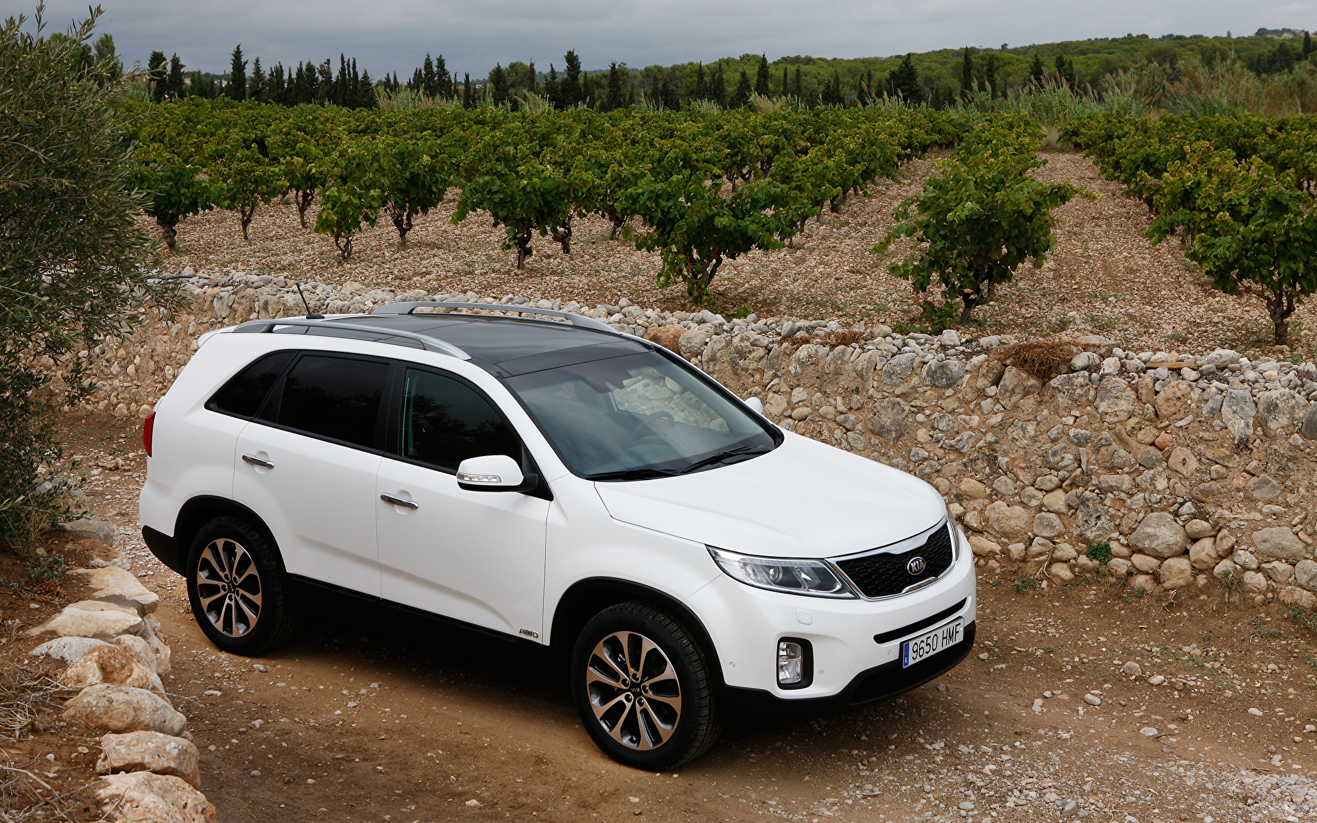 Фотография Киа 2013 Sorento белая машины 1920x1200