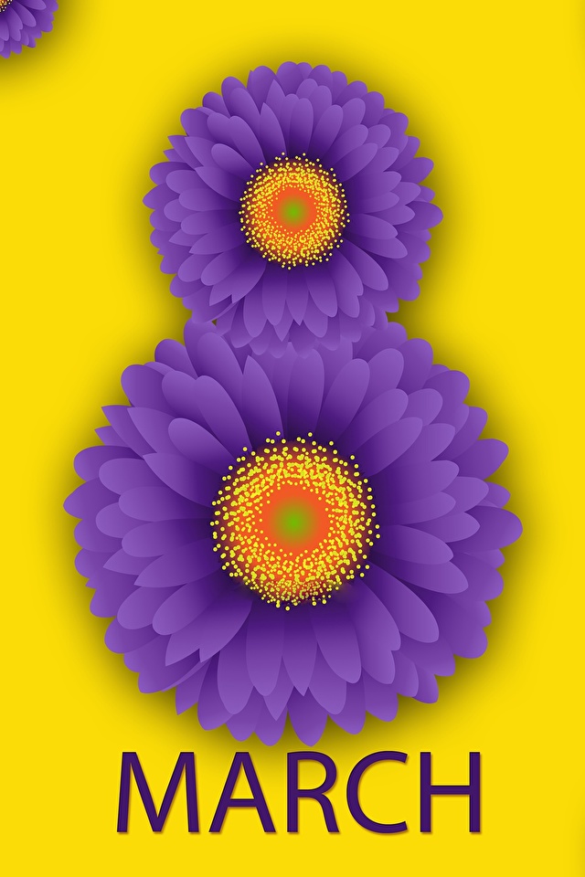 Fondos de Pantalla 640x960 8 marzo Gerbera Inglés Flores descargar imagenes