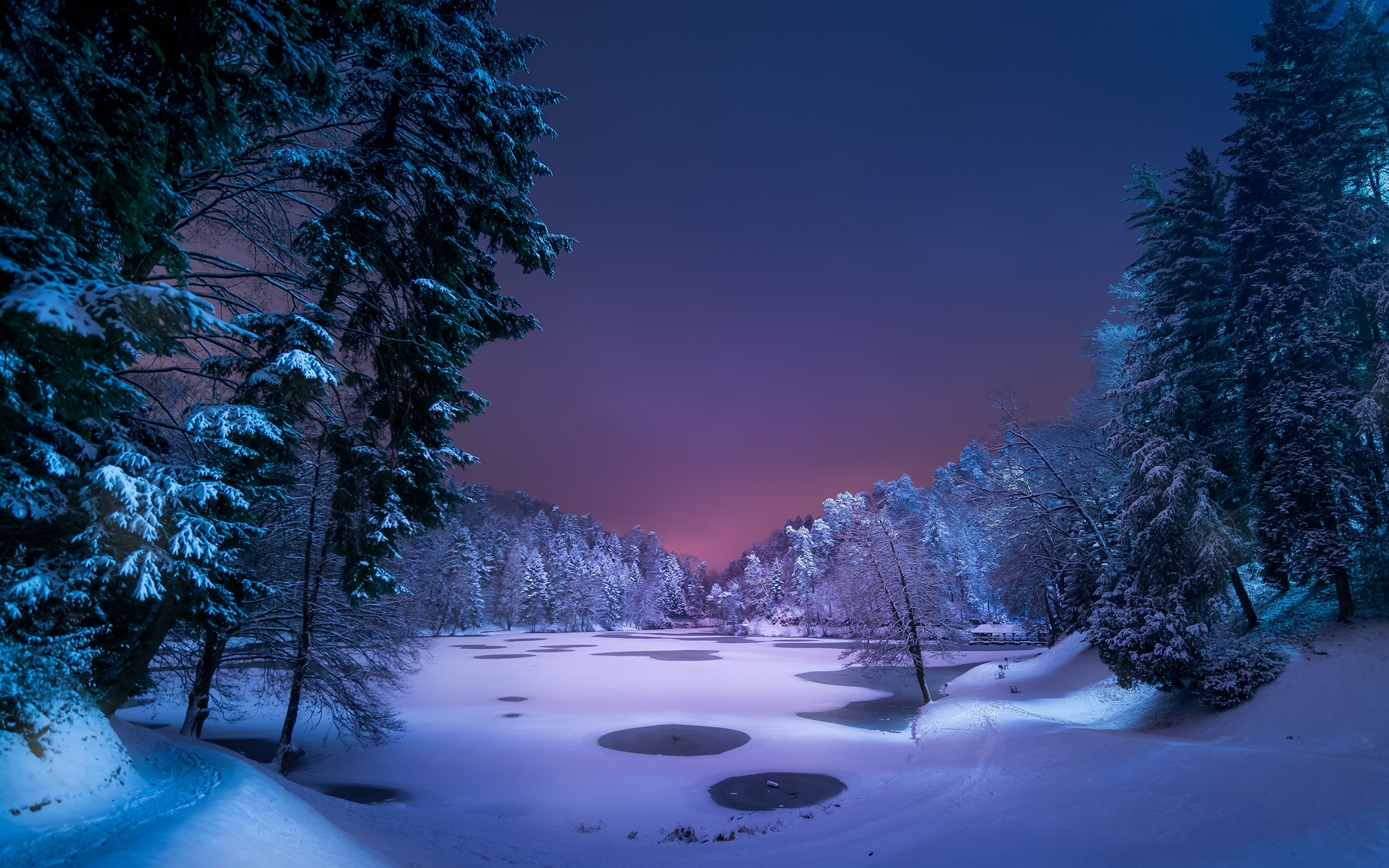 Снежок пк. Зимний пейзаж. Красивая зима. Зимний лес ночью. Зимний ночной пейзаж.