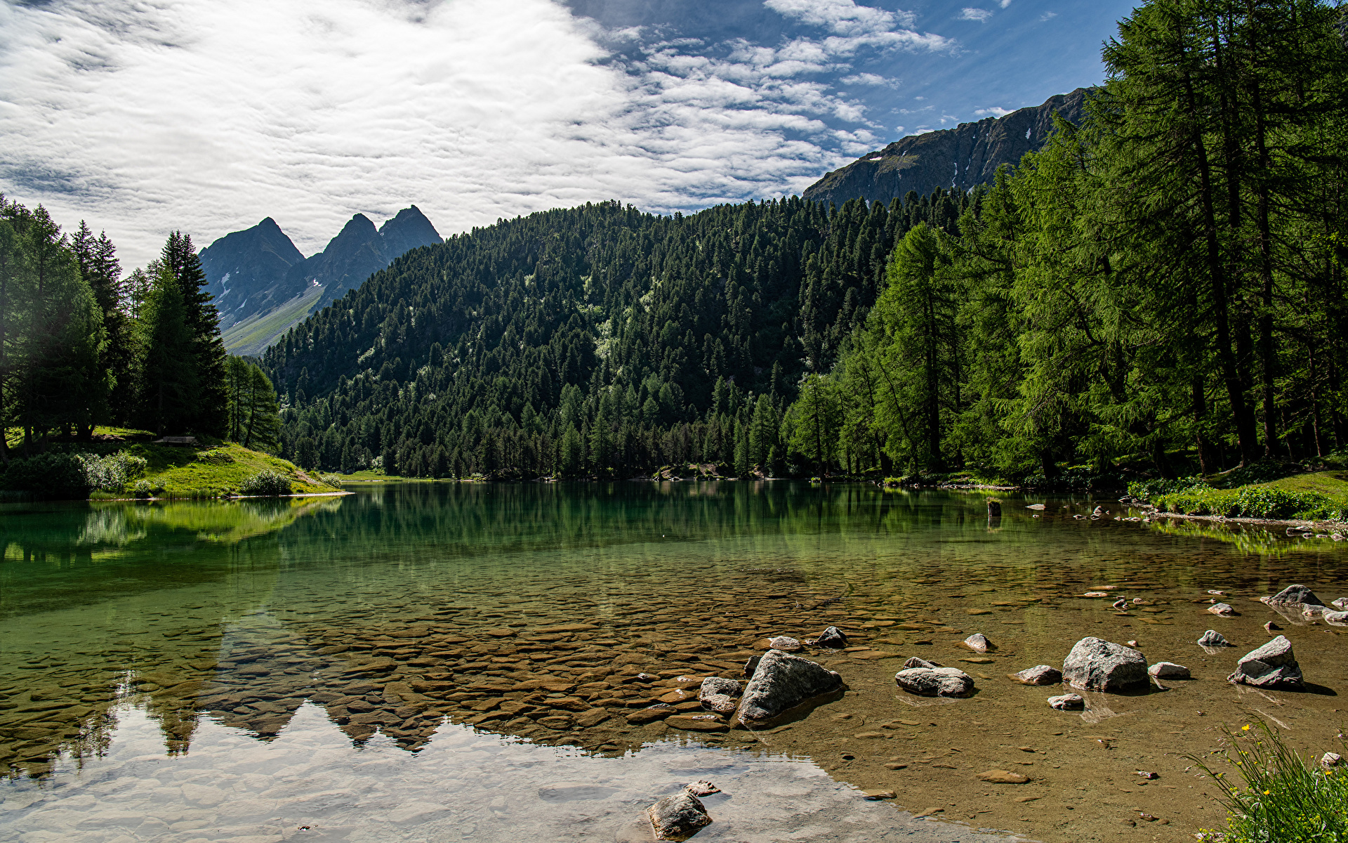 Papeis de parede x Suíça Montanhas Lago de Palpuogna Alpes árvores Naturaleza baixar imagens