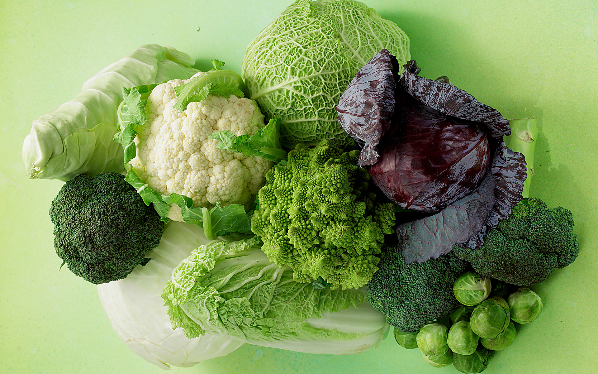 Foto's Voedsel De kool Groente Gekleurde achtergrond Broccoli 1920x1200 spijs