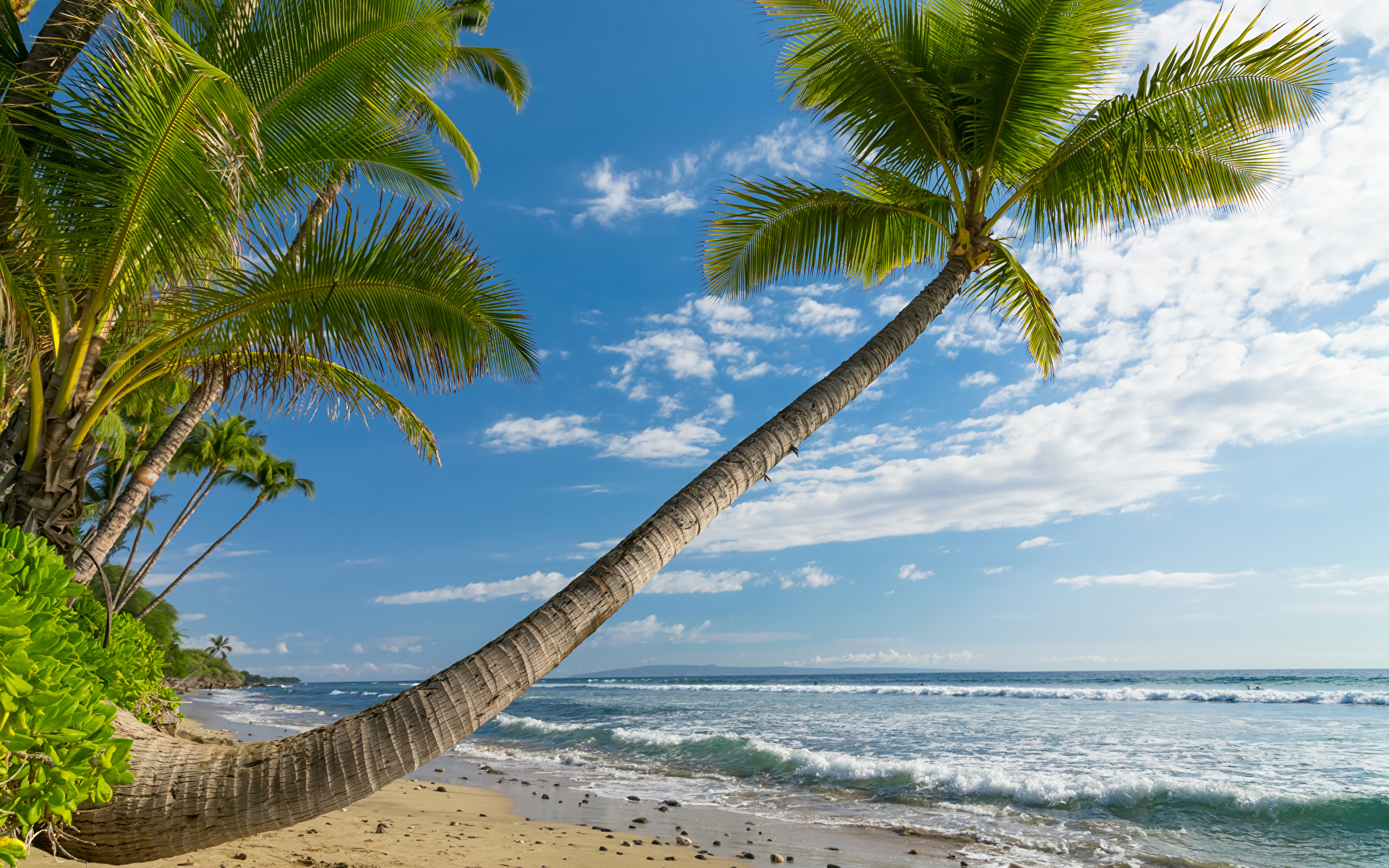 Fondos De Pantalla 1920x1200 Zona Intertropical Costa Cielo Olas Fotografía De Paisaje Océano 9423