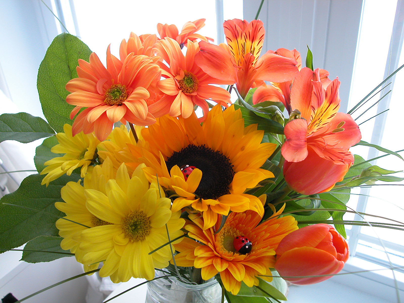 Bouquets_Sunflowers_Alstroemeria_Chrysan