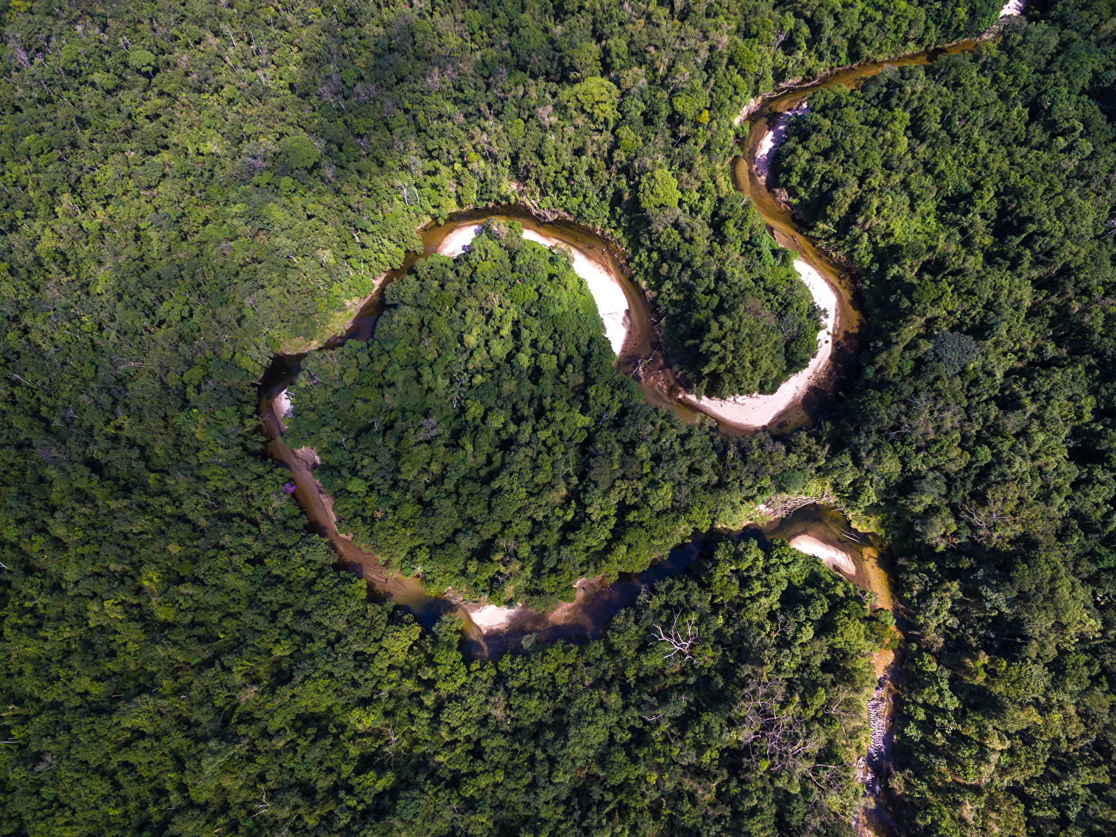 Fondos de Pantalla 1600x1200 Brasil Bosques Ríos Amazon Jungle Desde ...