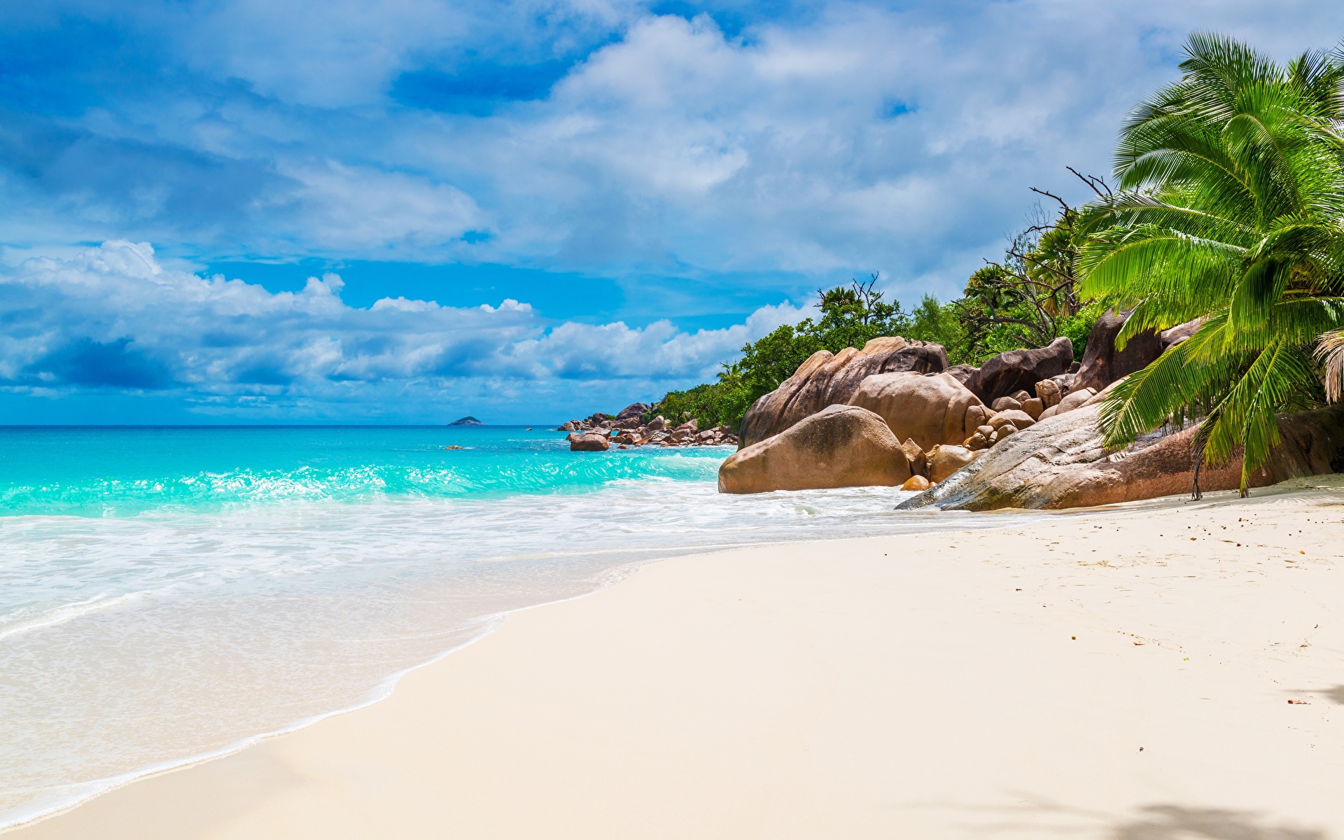 Images Seychelles Beaches Sea Nature Sand Palms Tropics 1920x1200