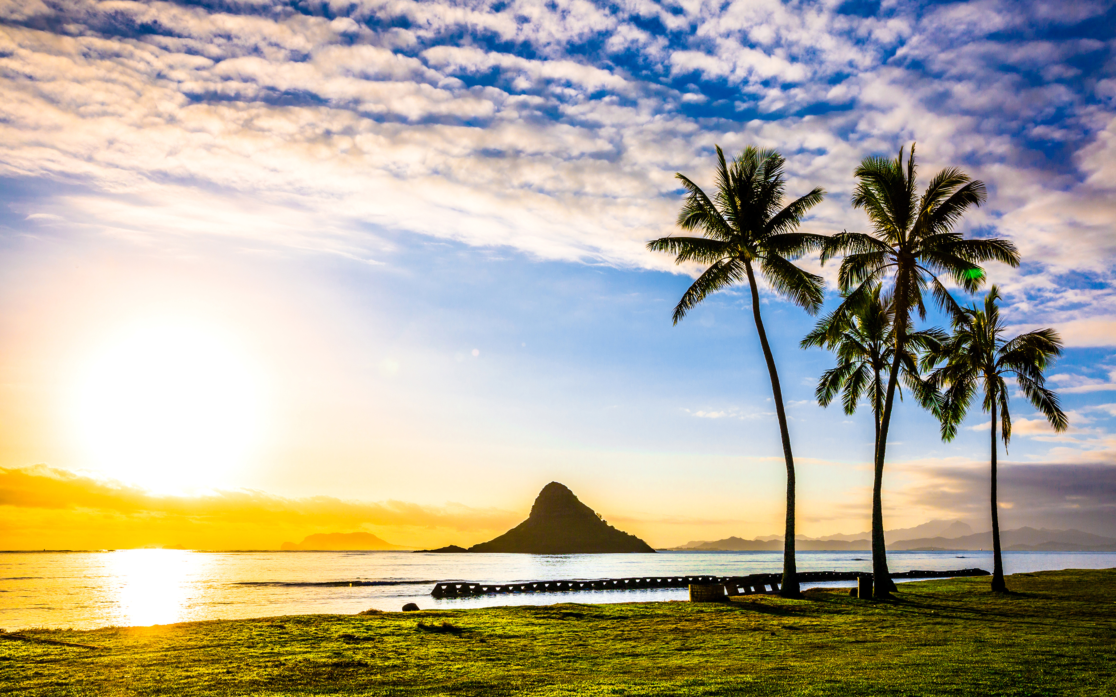 壁紙 3840x2400 アメリカ合衆国 風景写真 朝焼けと日没 海岸 ハワイ州 ヤシ 雲 太陽 自然 ダウンロード 写真