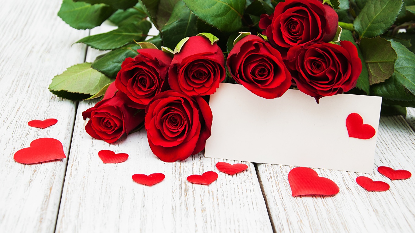 Fondos de Pantalla 1366x768 Rosas Rojo Corazón Tarjeta de felicitación