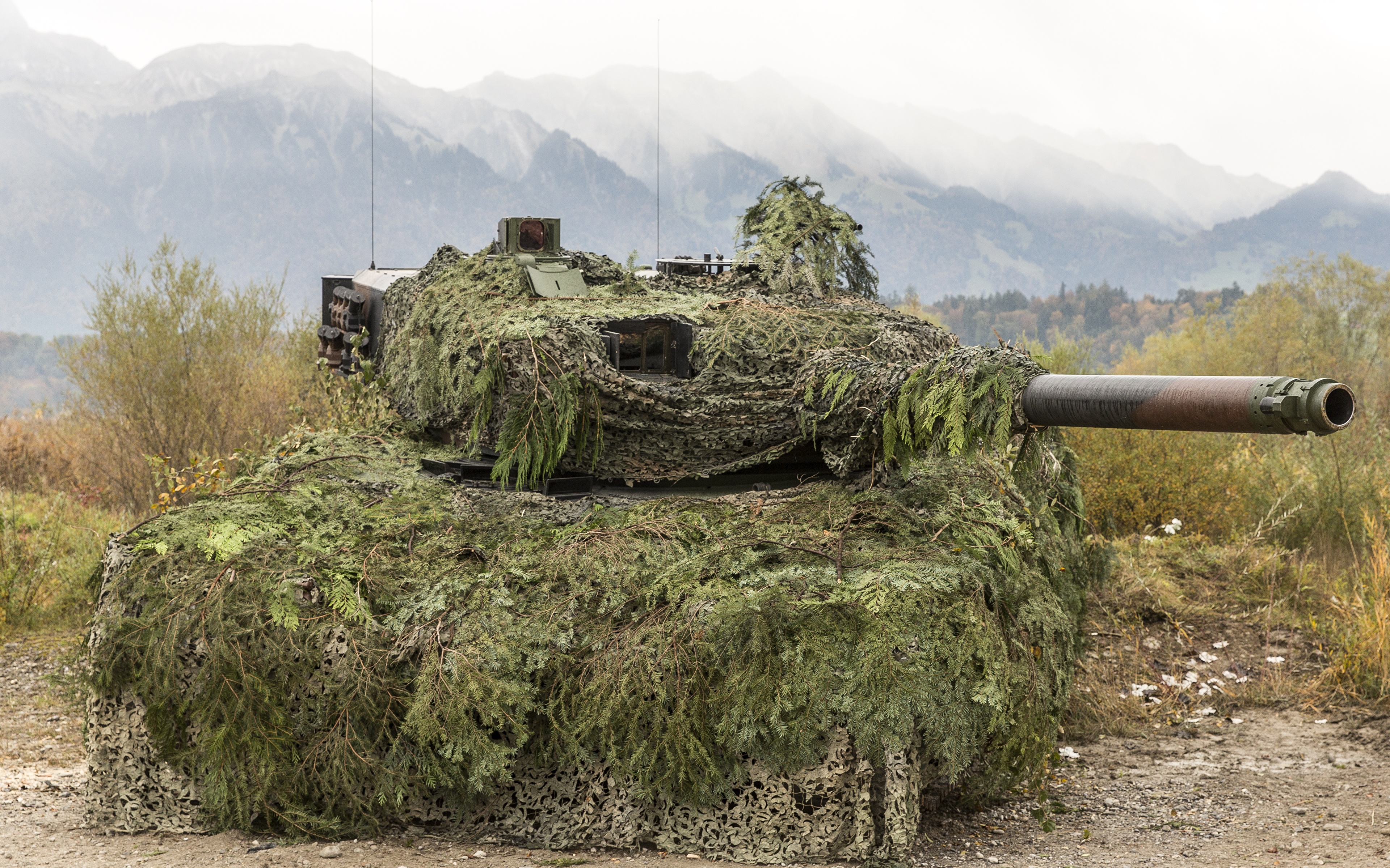 Tanks_Leopard_2_Camouflage_521750_3840x2400.jpg