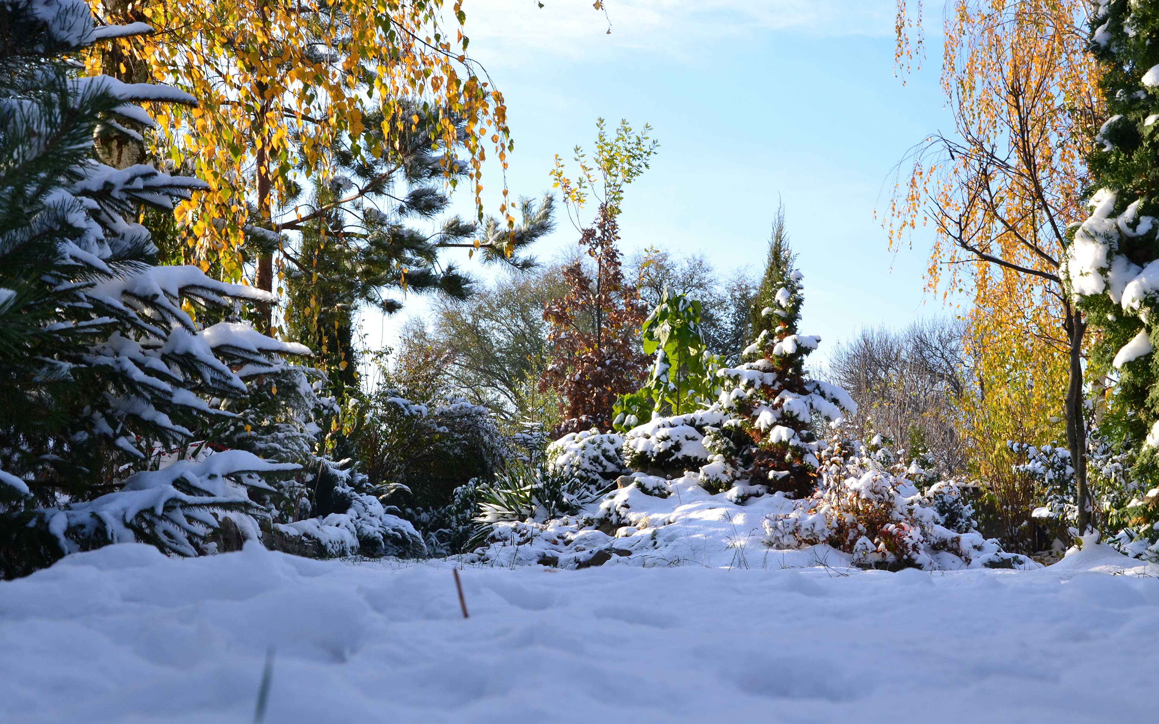 Bilder Von Natur Herbst Winter Schnee 3840x2400