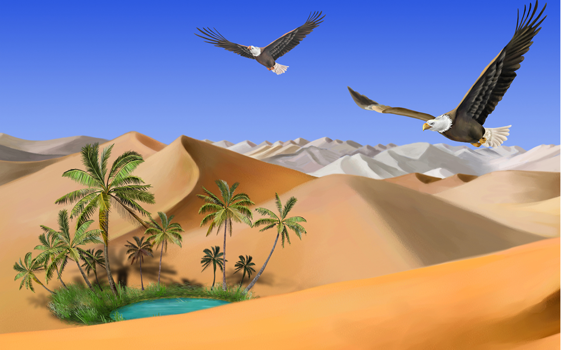 壁紙 19x10 鳥類 描かれた壁紙 砂漠 タカ ハクトウワシ 砂 動物 自然 ダウンロード 写真