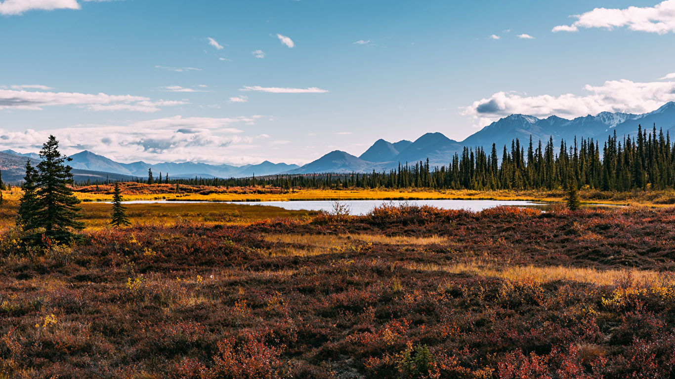 壁紙 1366x768 風景写真 山 アメリカ合衆国 アラスカ州 川 草 自然 ダウンロード 写真
