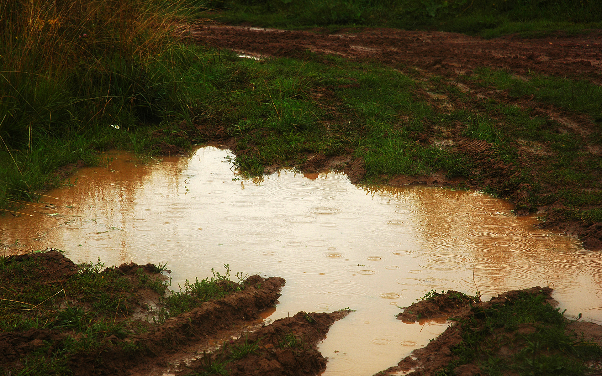 Photos Nature Puddle Mud 1920x1200