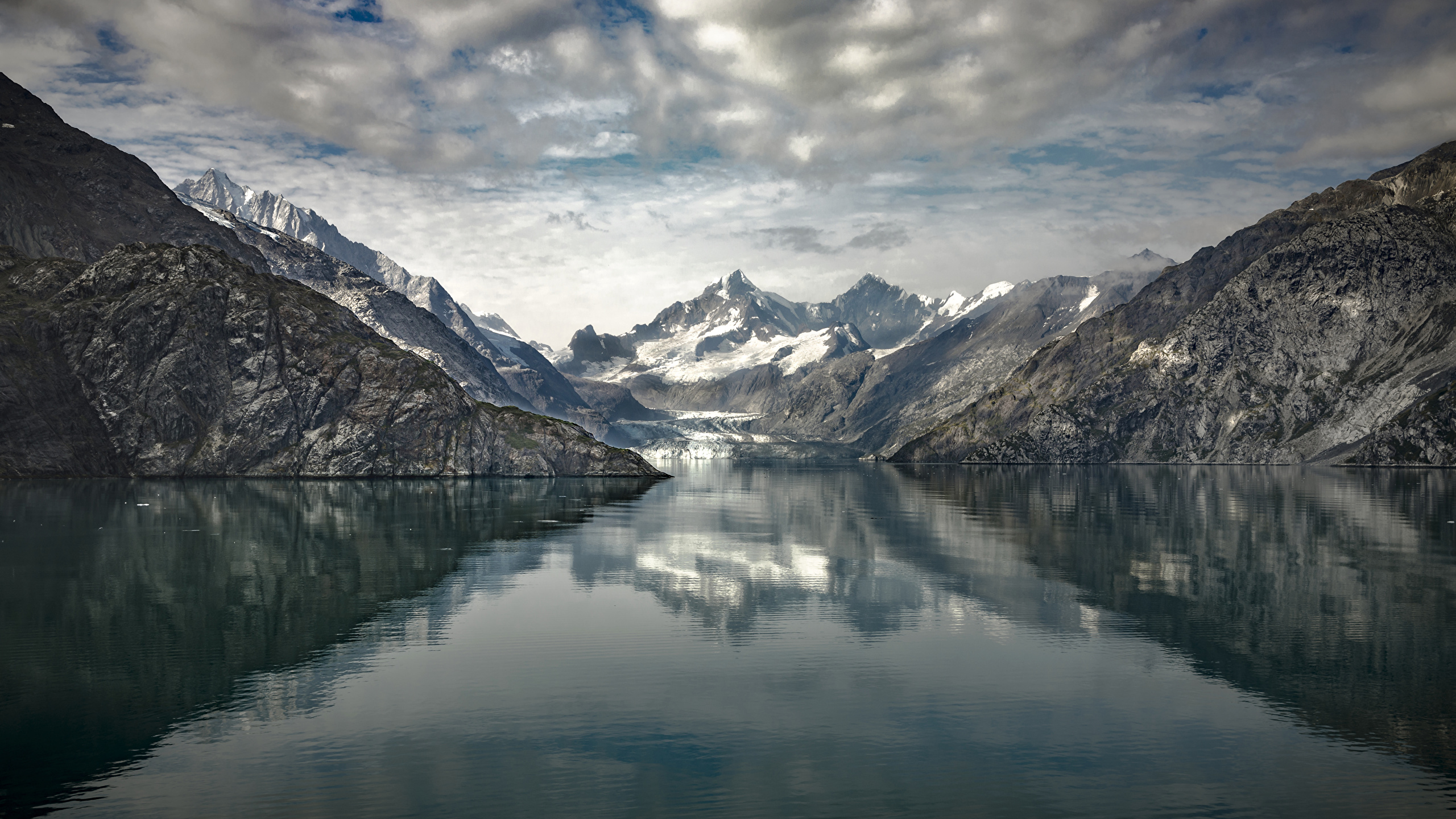 壁紙 2560x1440 阿拉斯加州 山 河流 Johns Hopkins Glacier 大自然 下载 照片