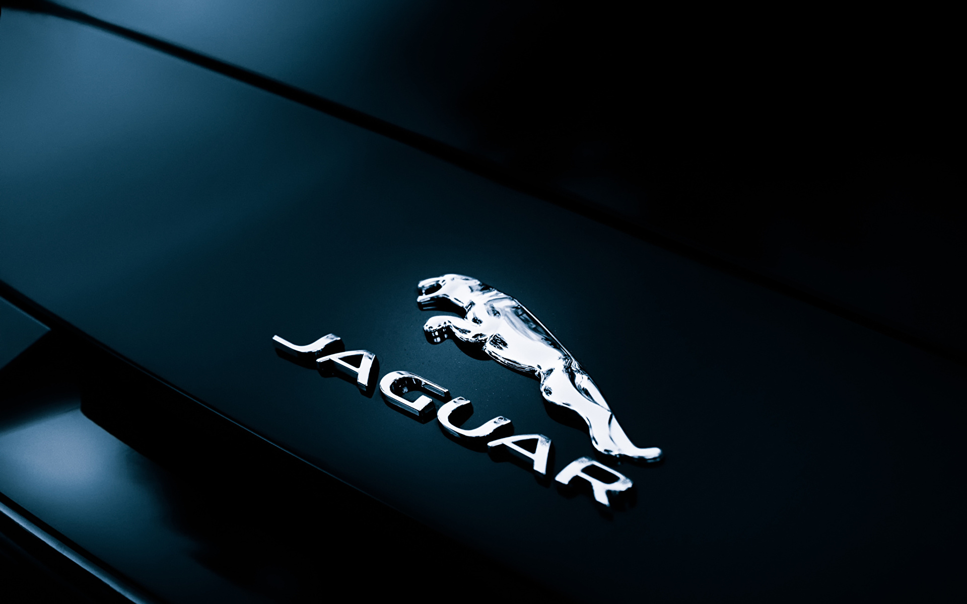 Jaguar Logo Wallpapers 64 images