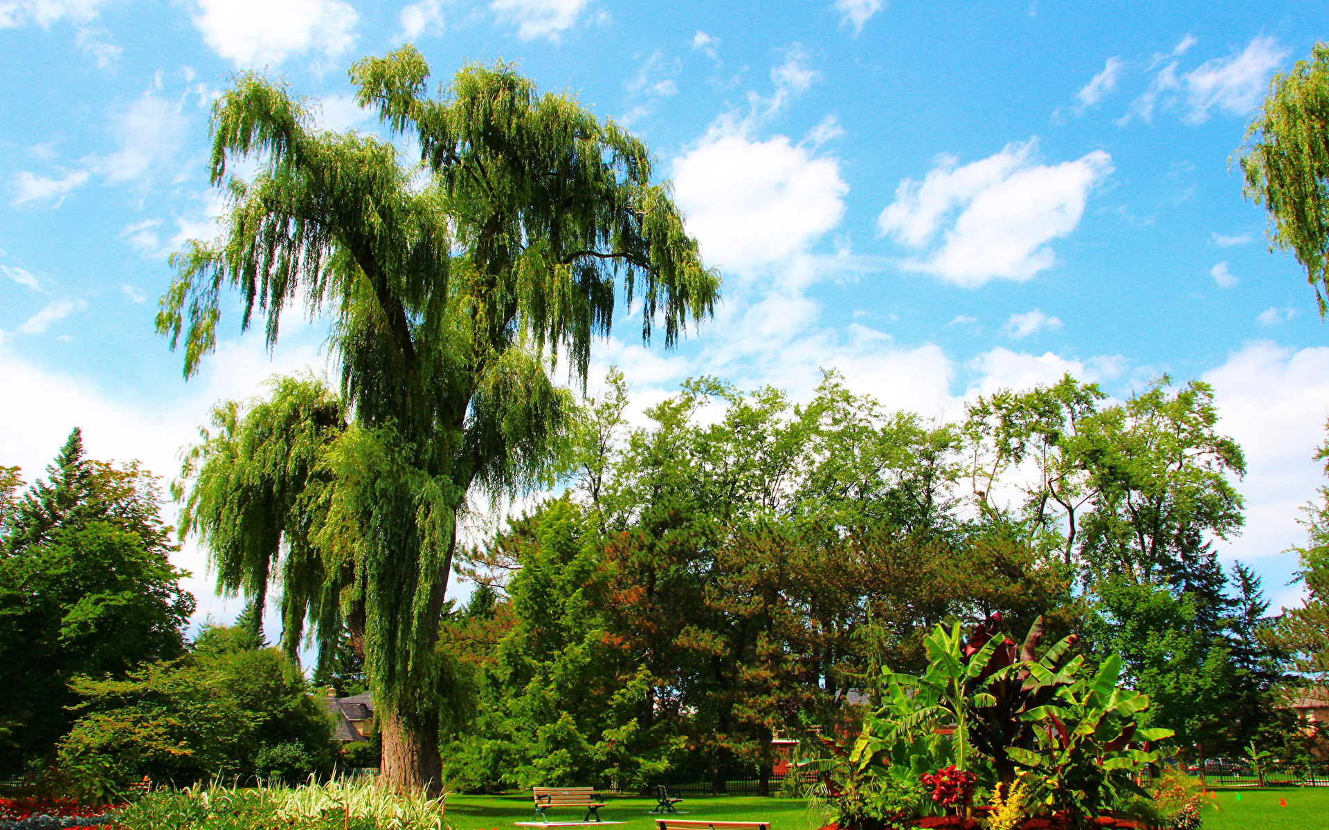 Picture Nature Canada Ontario Botanical Garden Trees 1920x1200