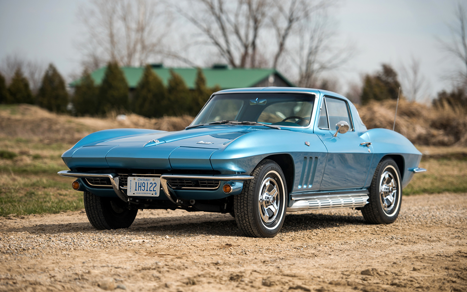 Chevrolet Corvette Stingray 1965