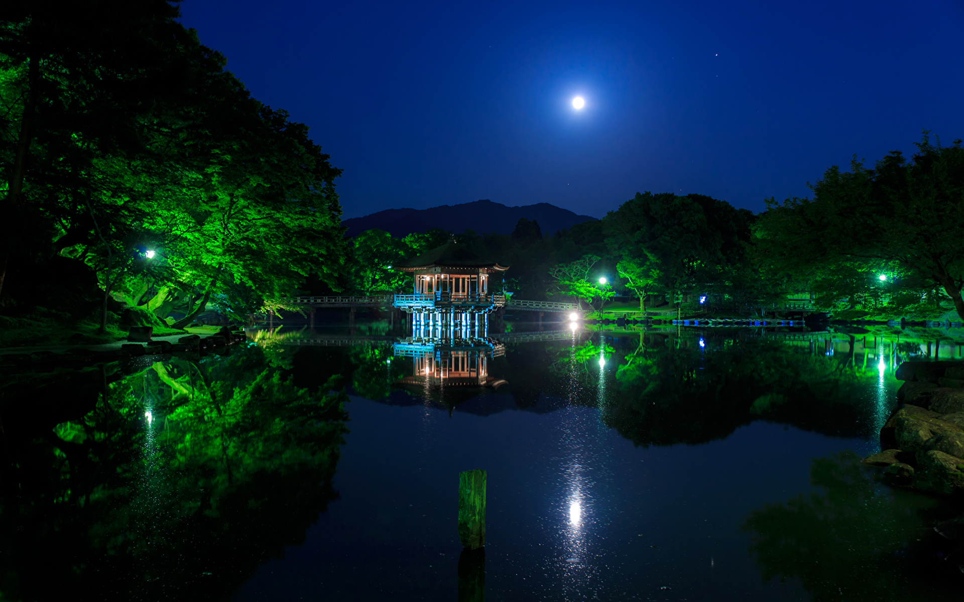 壁紙 1920x1200 日本 公園 池 パゴダ Ukimido 木 夜 月 自然