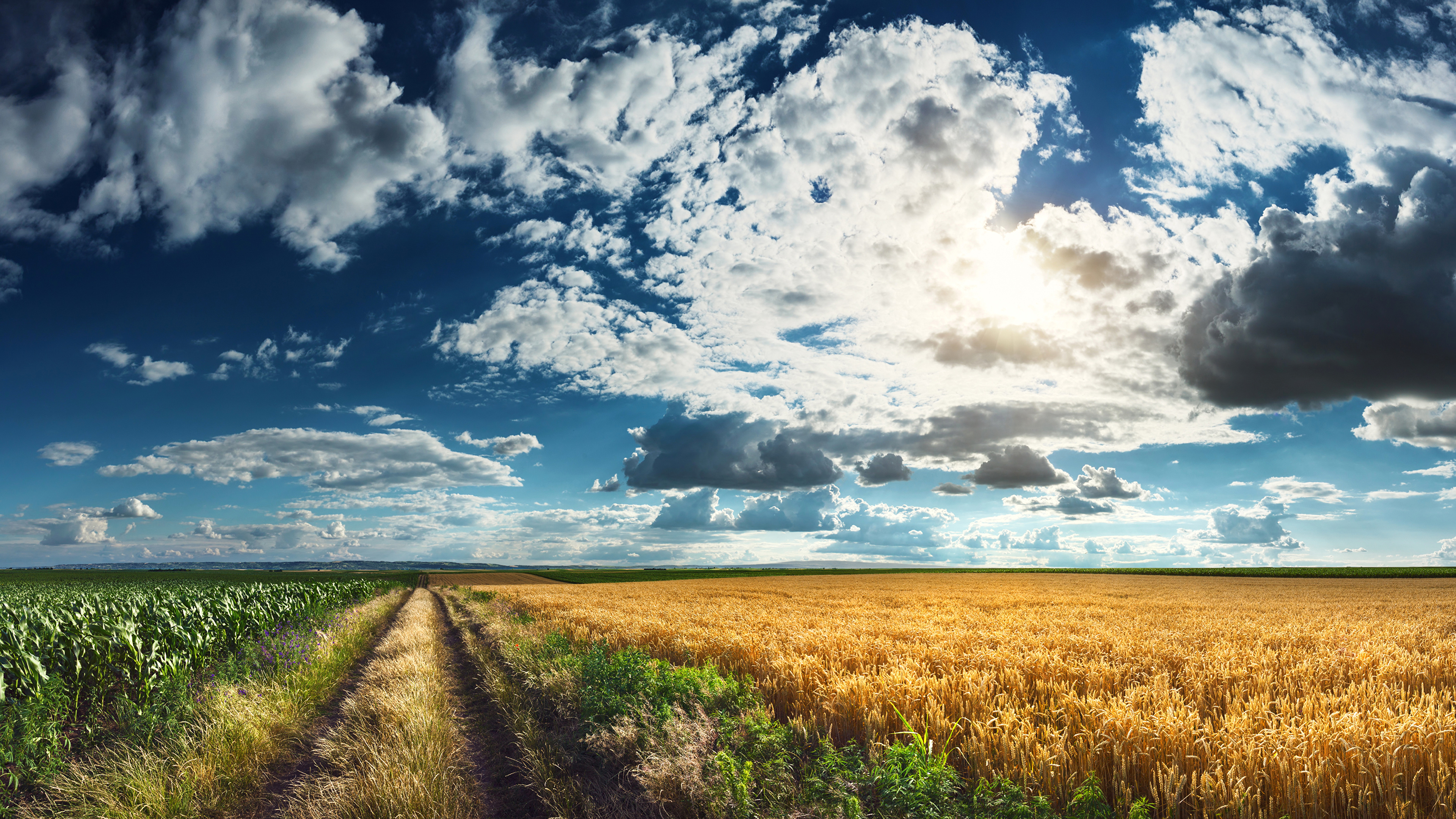 Image Nature Sky Roads Fields Scenery Grass Clouds 3840x2160