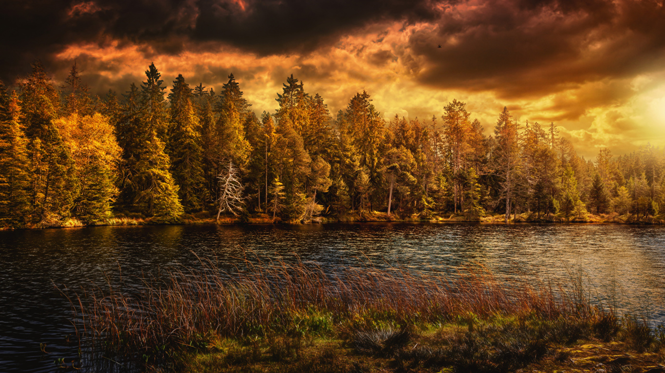 Wallpaper Switzerland Autumn Nature Forests Rivers Clouds 1366x768