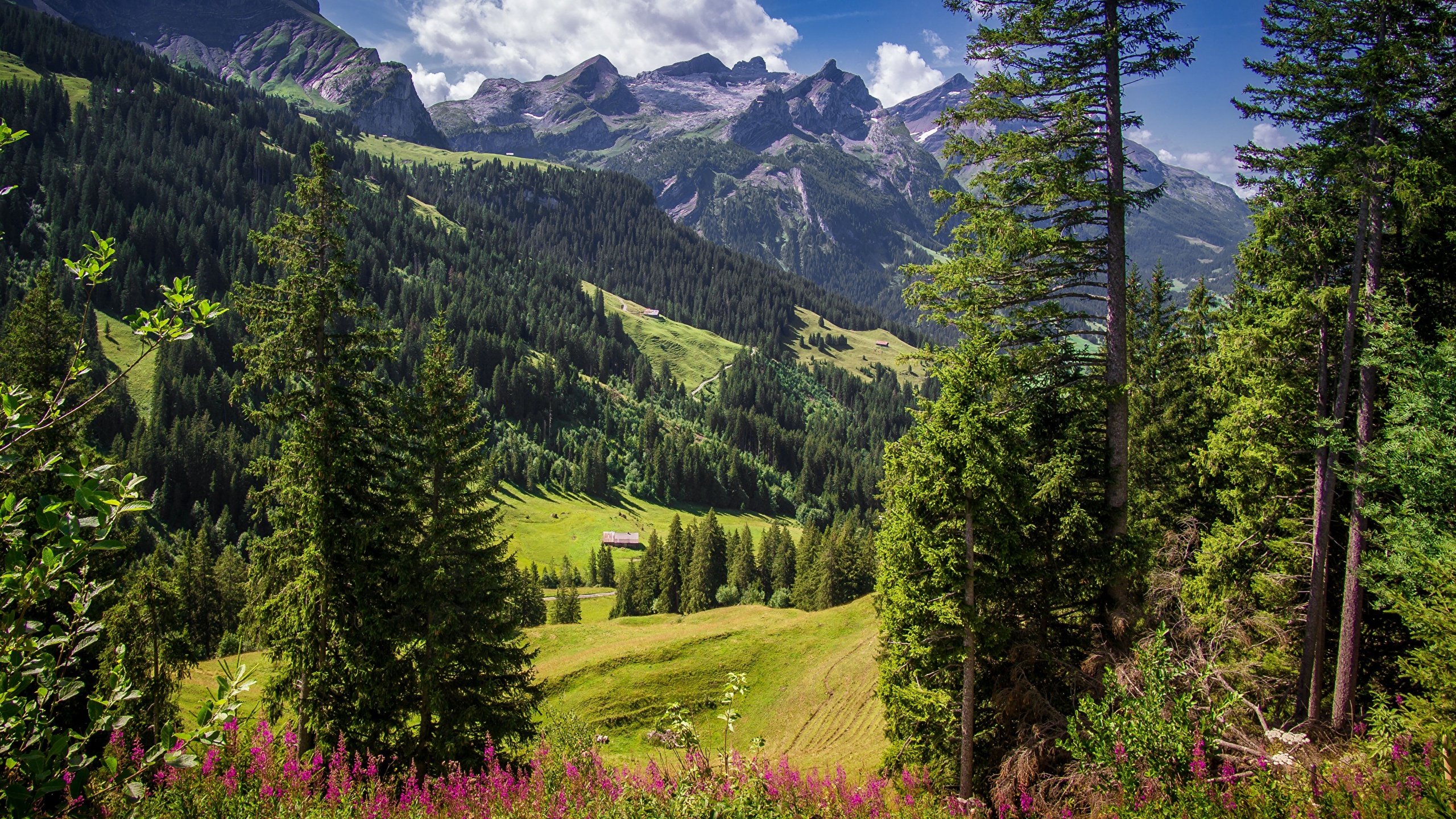 Foto Alpen Zwitserland Sanetschhore Bergen Natuur 2560x1440