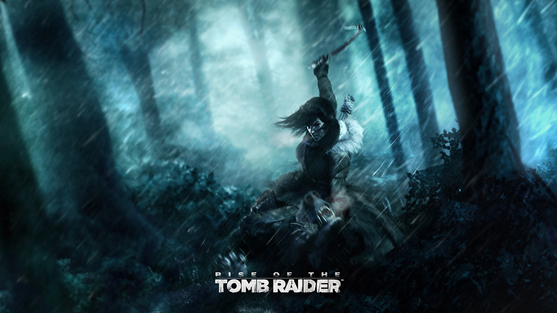 壁紙 19x1080 森林 雨 描かれた壁紙 Rise Of The Tomb Raider ララ クロフト 夜 木 ゲーム 少女 ダウンロード 写真