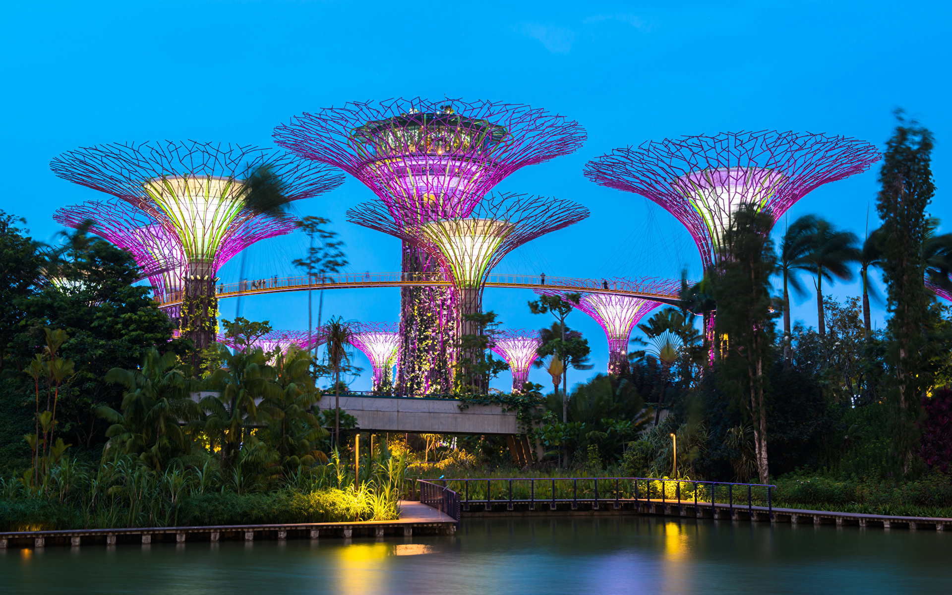 Desktop Wallpapers Singapore Gardens By The Bay Nature 1920x1200