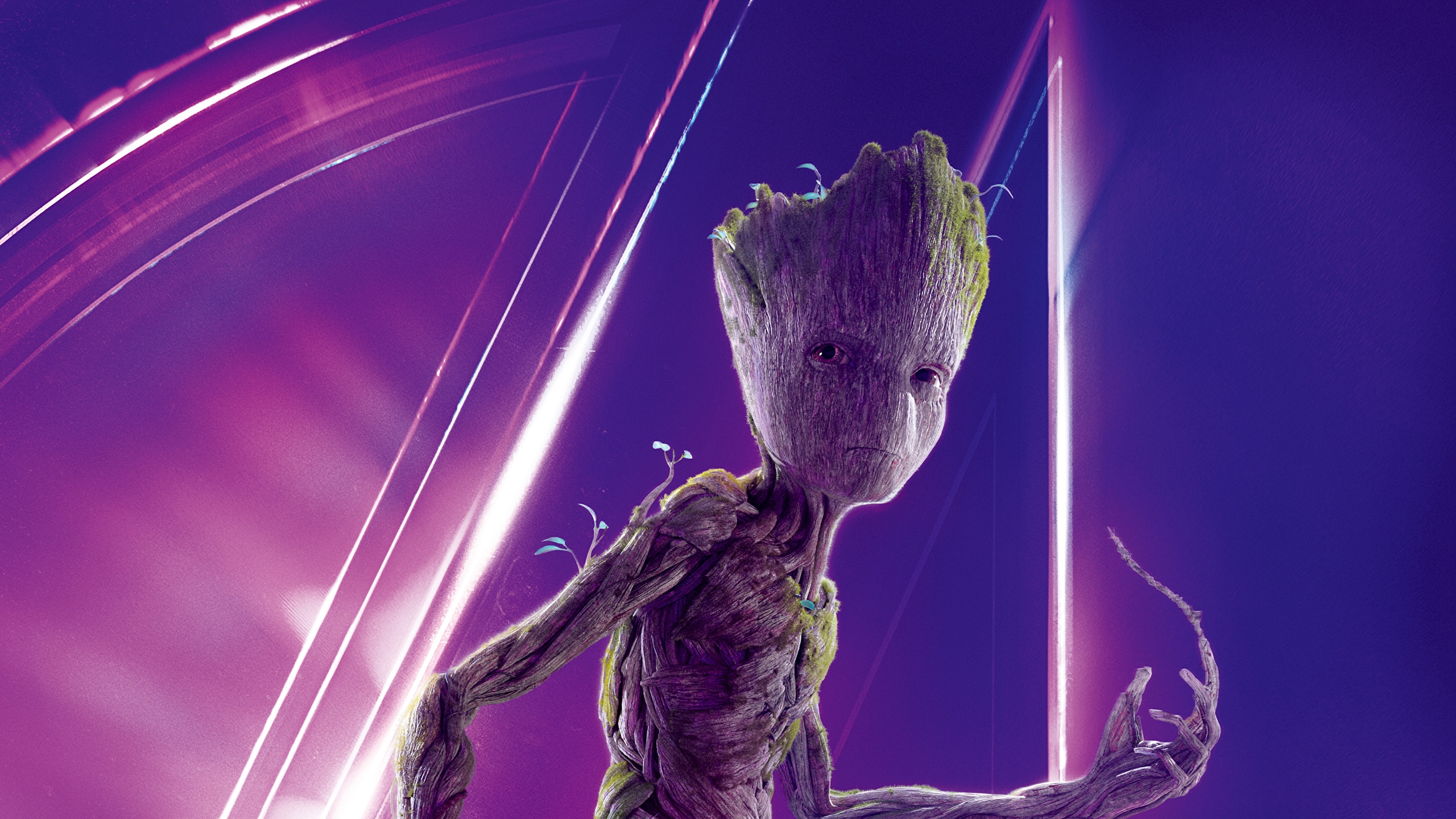 壁紙 2560x1440 Avengers Infinity War ガーディアンズ オブ ギャラクシー リミックス Groot 映画 ダウンロード 写真