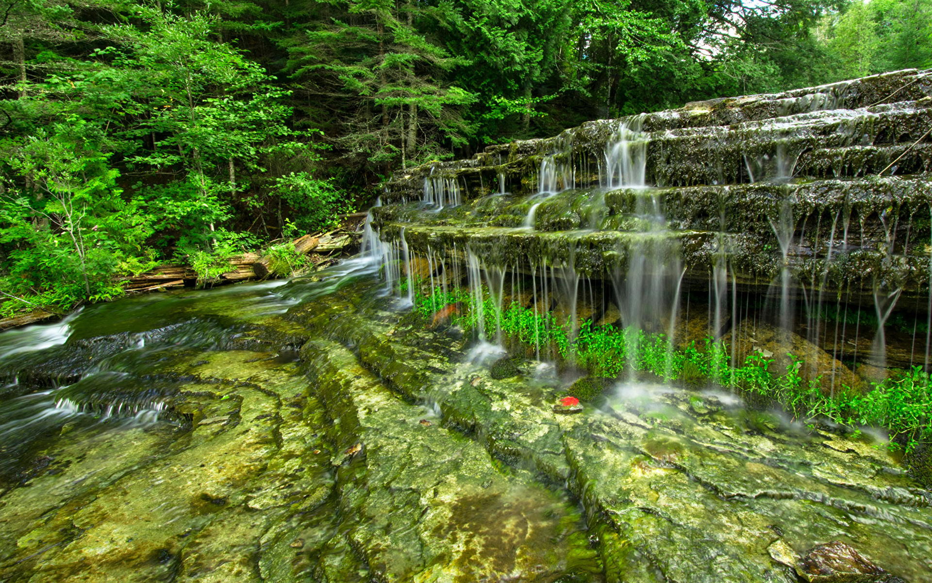 Desktop Wallpapers Nature Waterfalls Forest Stones 1920x1200
