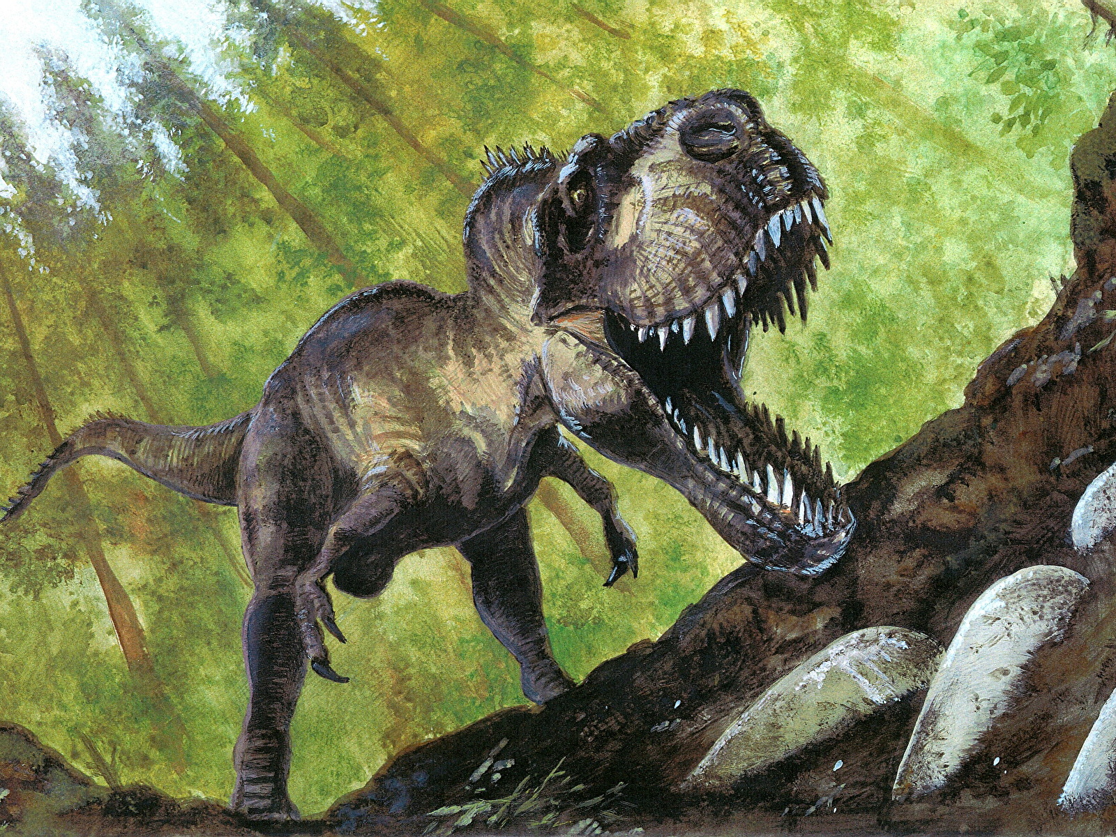 壁紙 1600x10 古代の動物 恐竜 描かれた壁紙 ティラノサウルス 動物 ダウンロード 写真