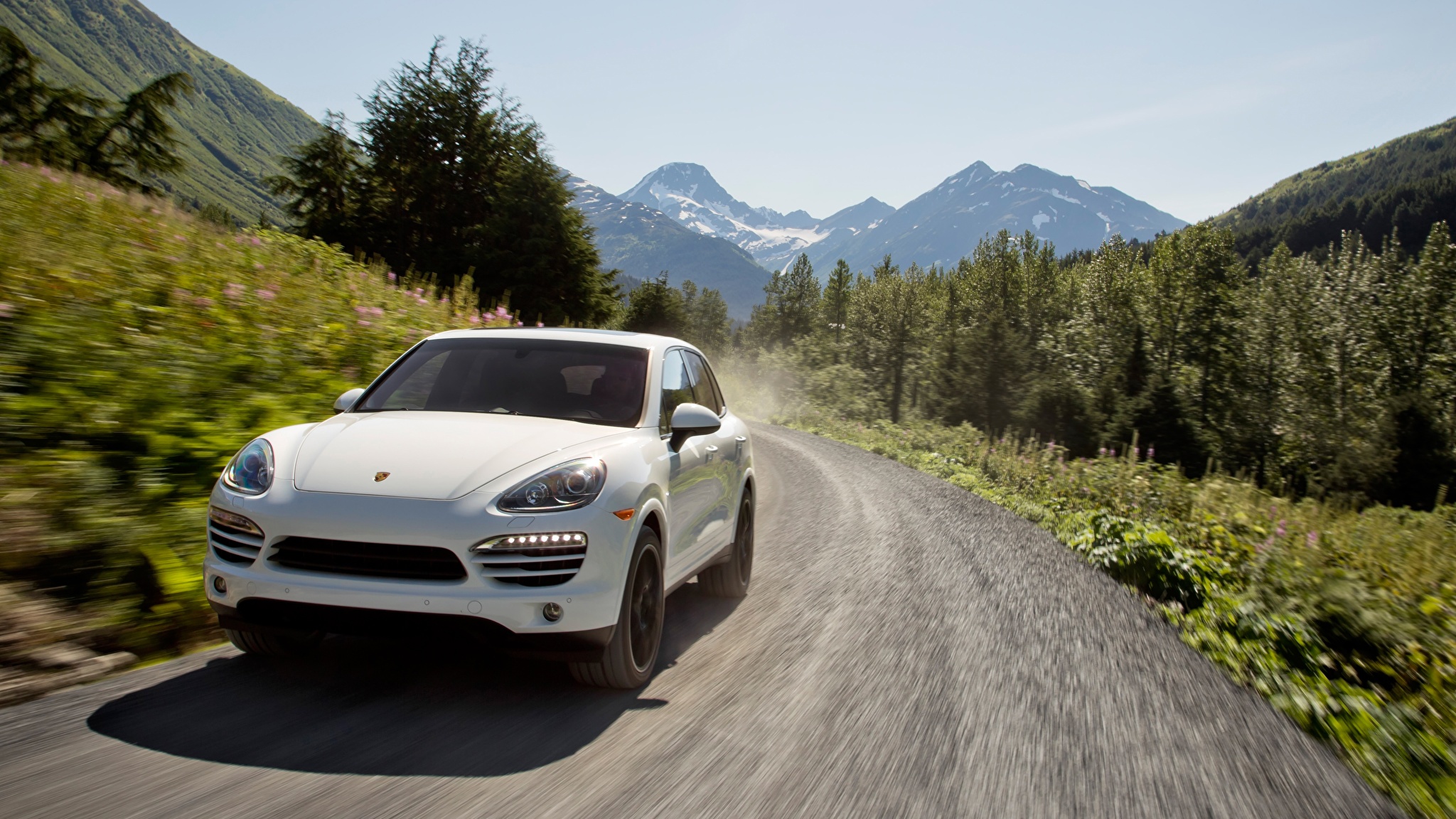 Porsche na doroge