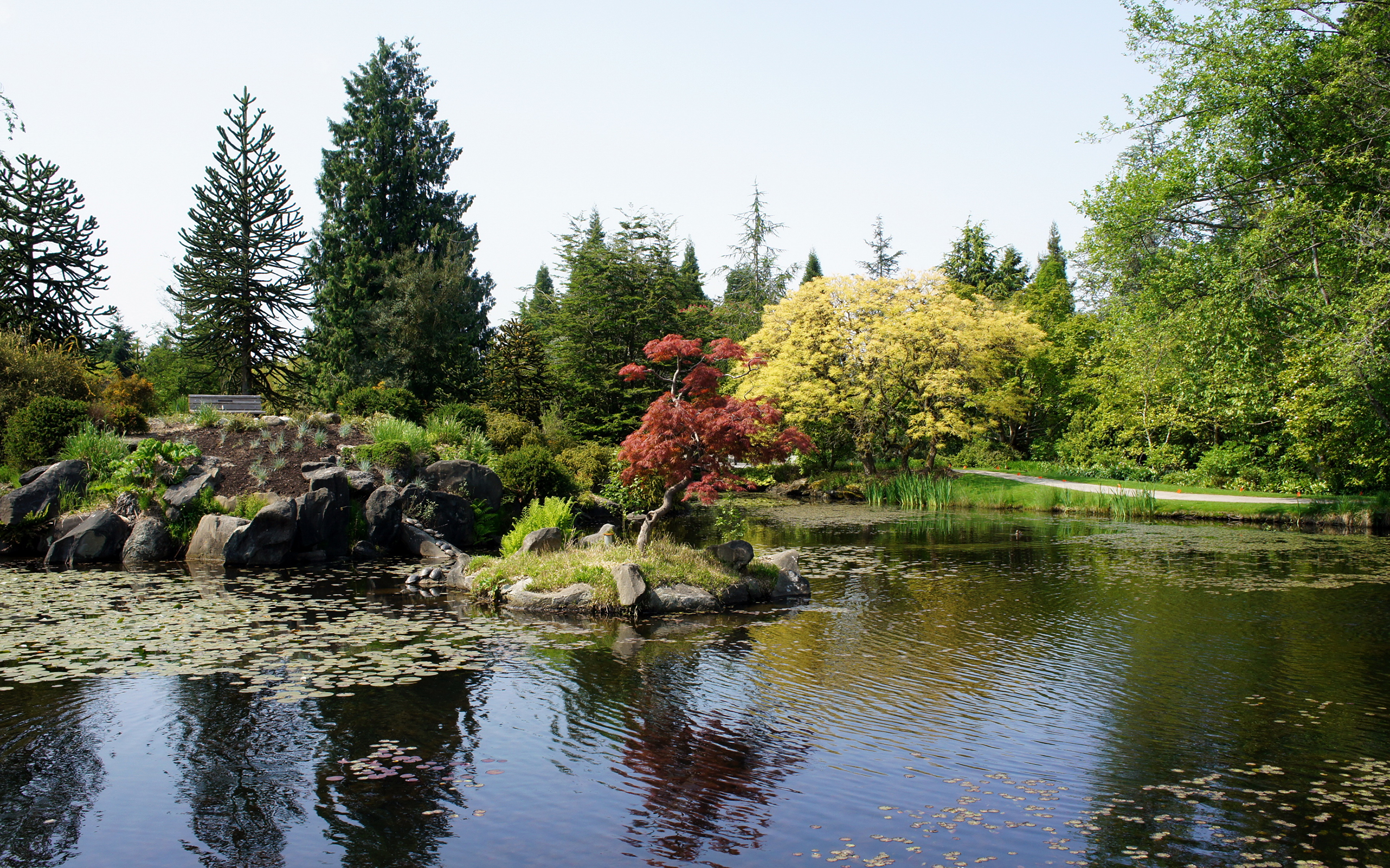 Сады на реке какой реке. Озеро Капилано Ванкувер. Ванкувер Ботанический сад. Канада природа Vancouver. Ванкувер заповедник.
