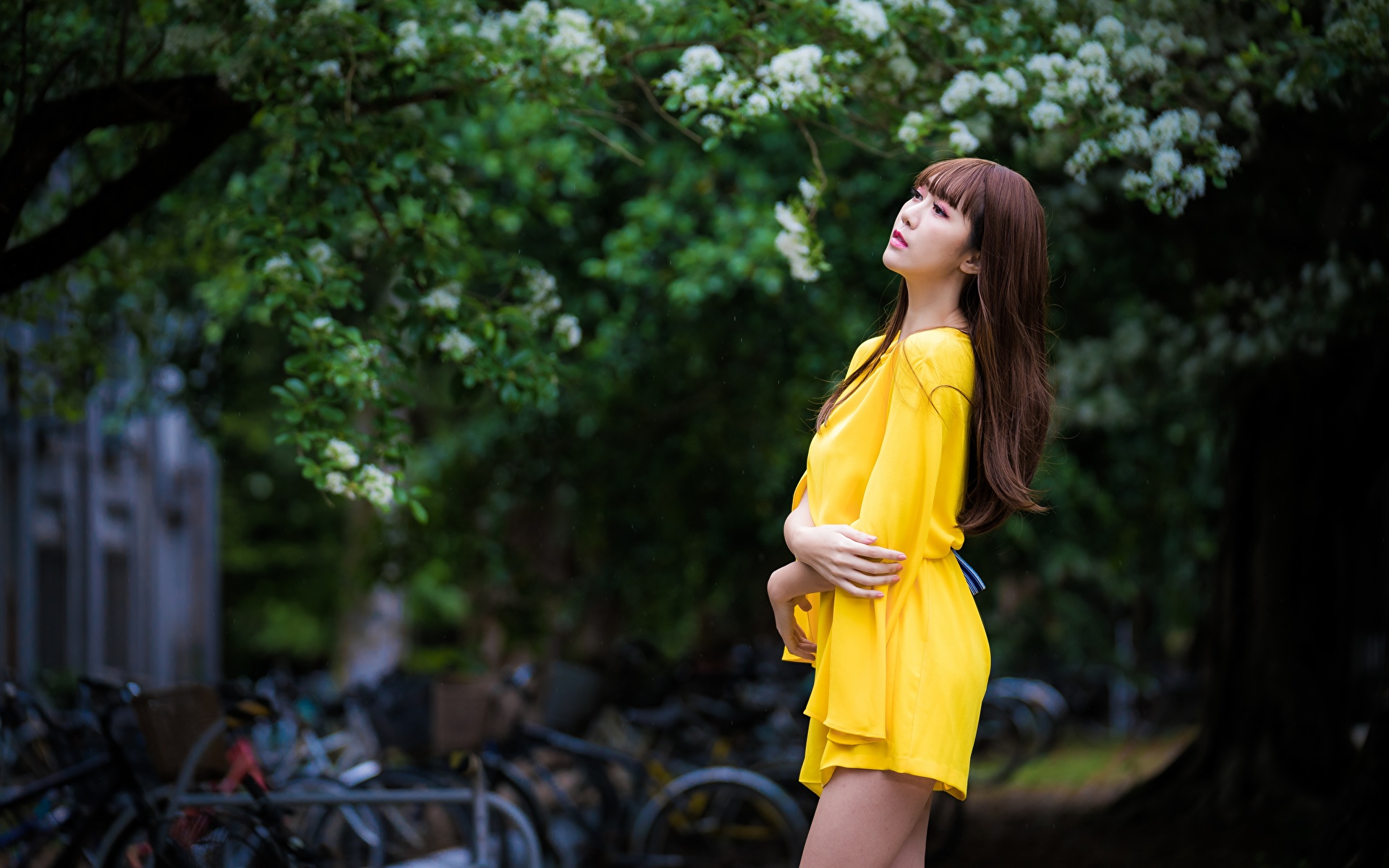 Picture Brown Haired Bokeh Pose Young Woman Asian Hands 1920x1200