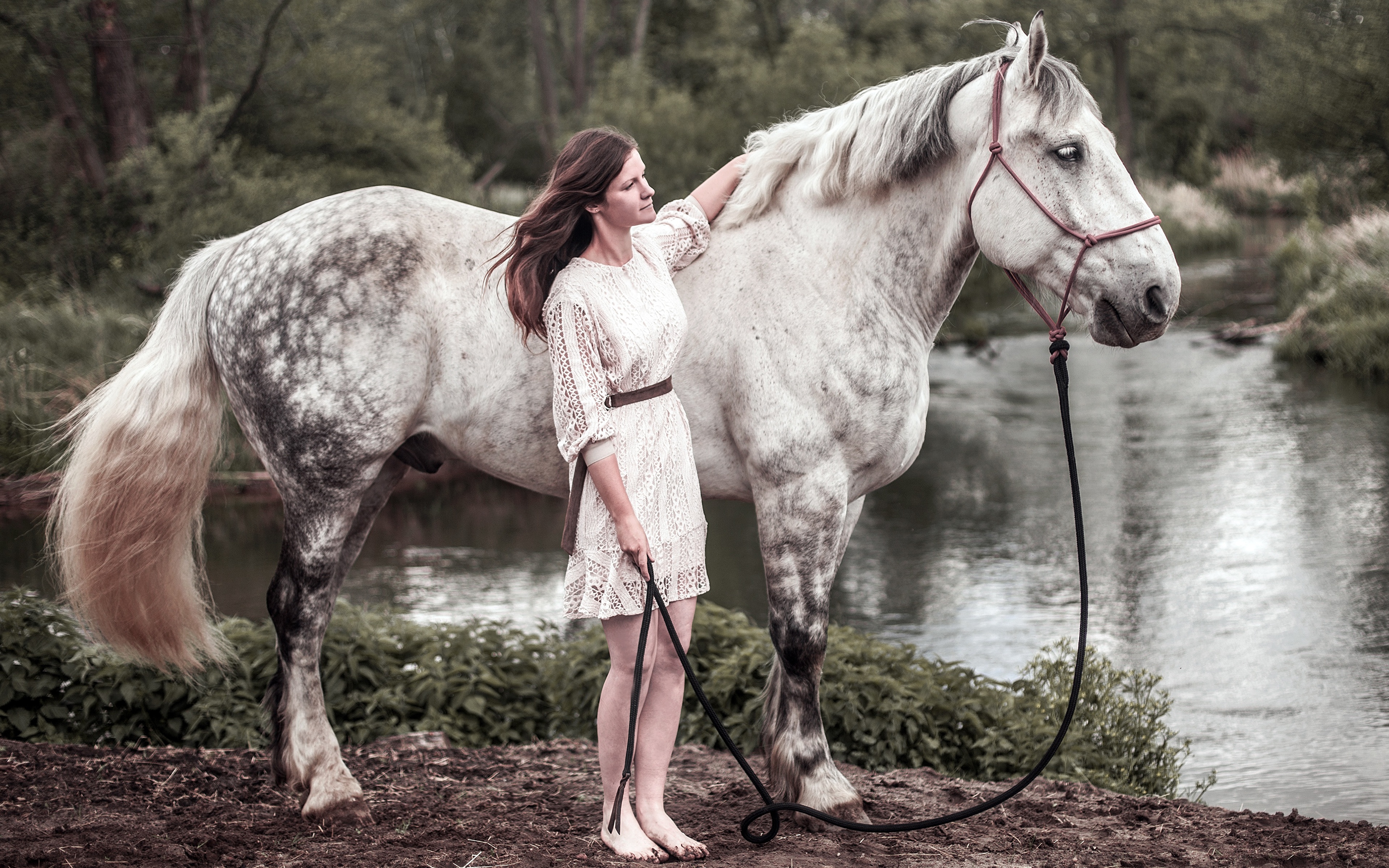 zdjęcie koń colt male młoda kobieta Widok z boku Zwierzęta 3840x2400 Konie dziewczyna Dziewczyny młode kobiety zwierzę