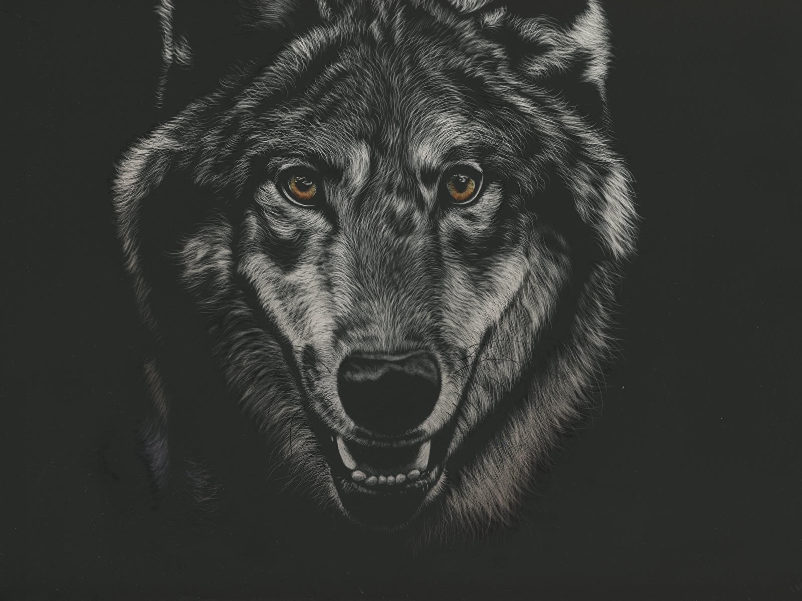 Волк на черном фоне