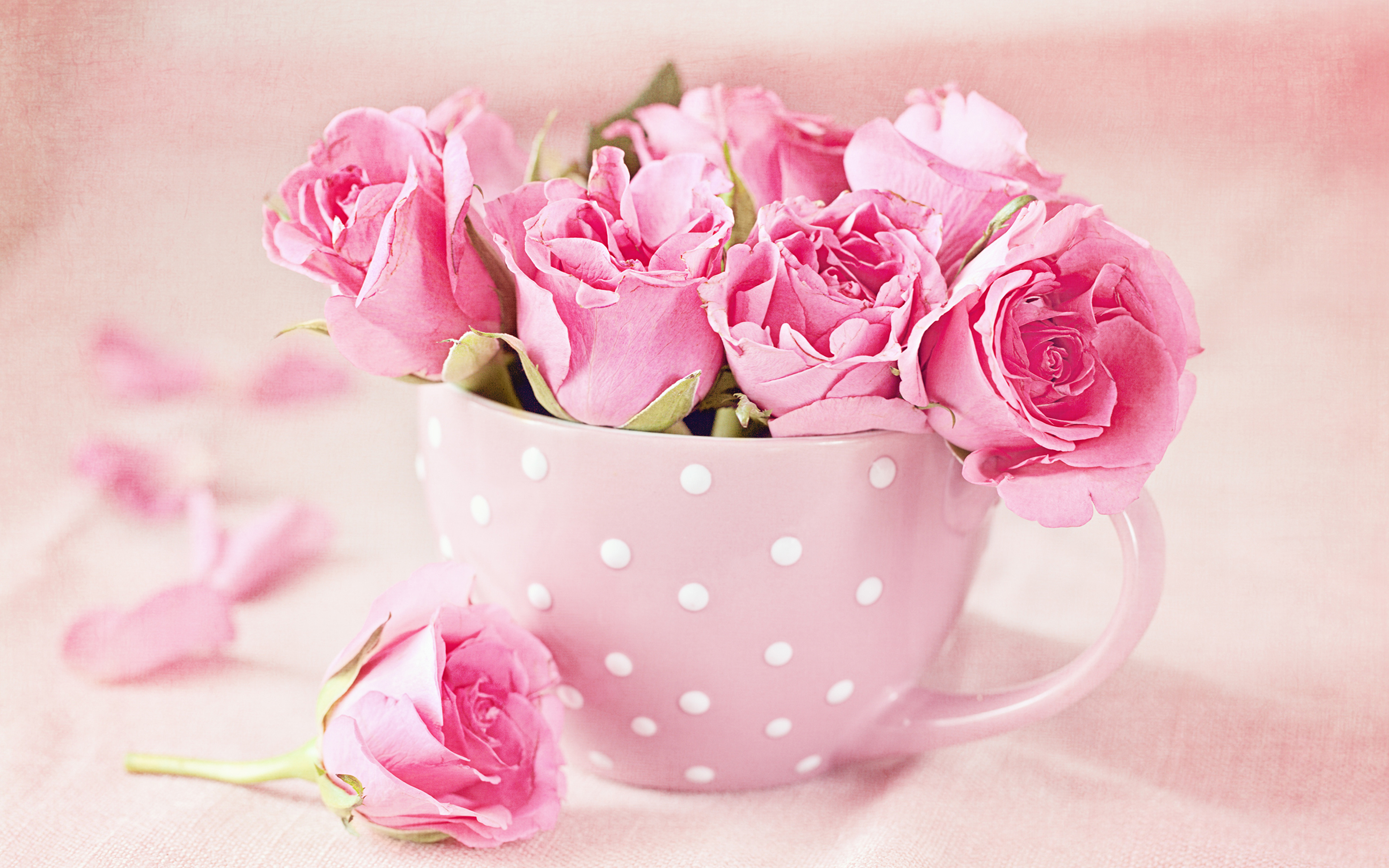 Картинка утро доброе розовое. Красивые нежные цветы. Цветы нежные букеты. Красивый нежный букет цветов. Милые цветы.