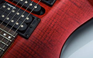 Picture Closeup Guitar Red